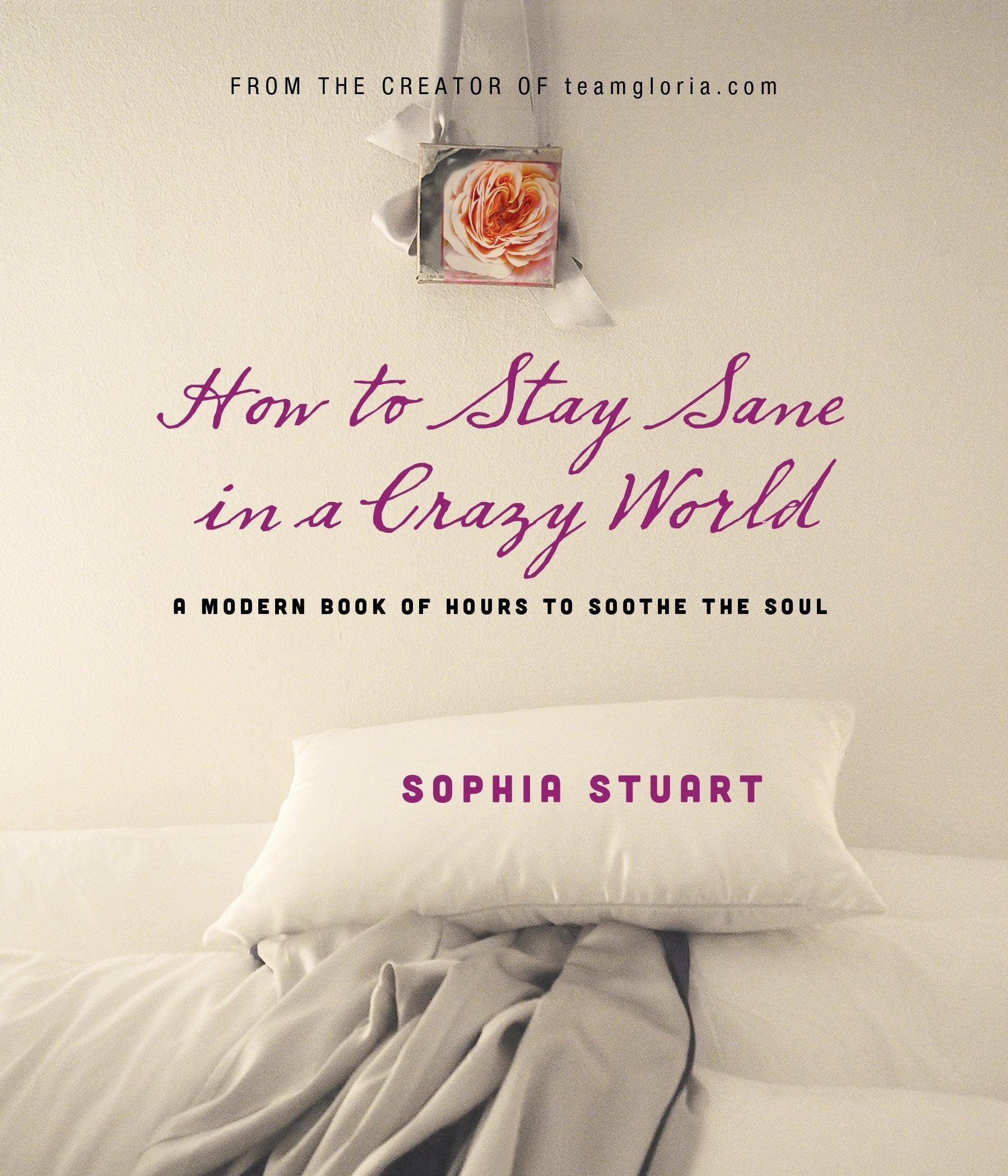 How to Stay Sane in a Crazy World: A Modern Book of Hours to Soothe the Soul,Used