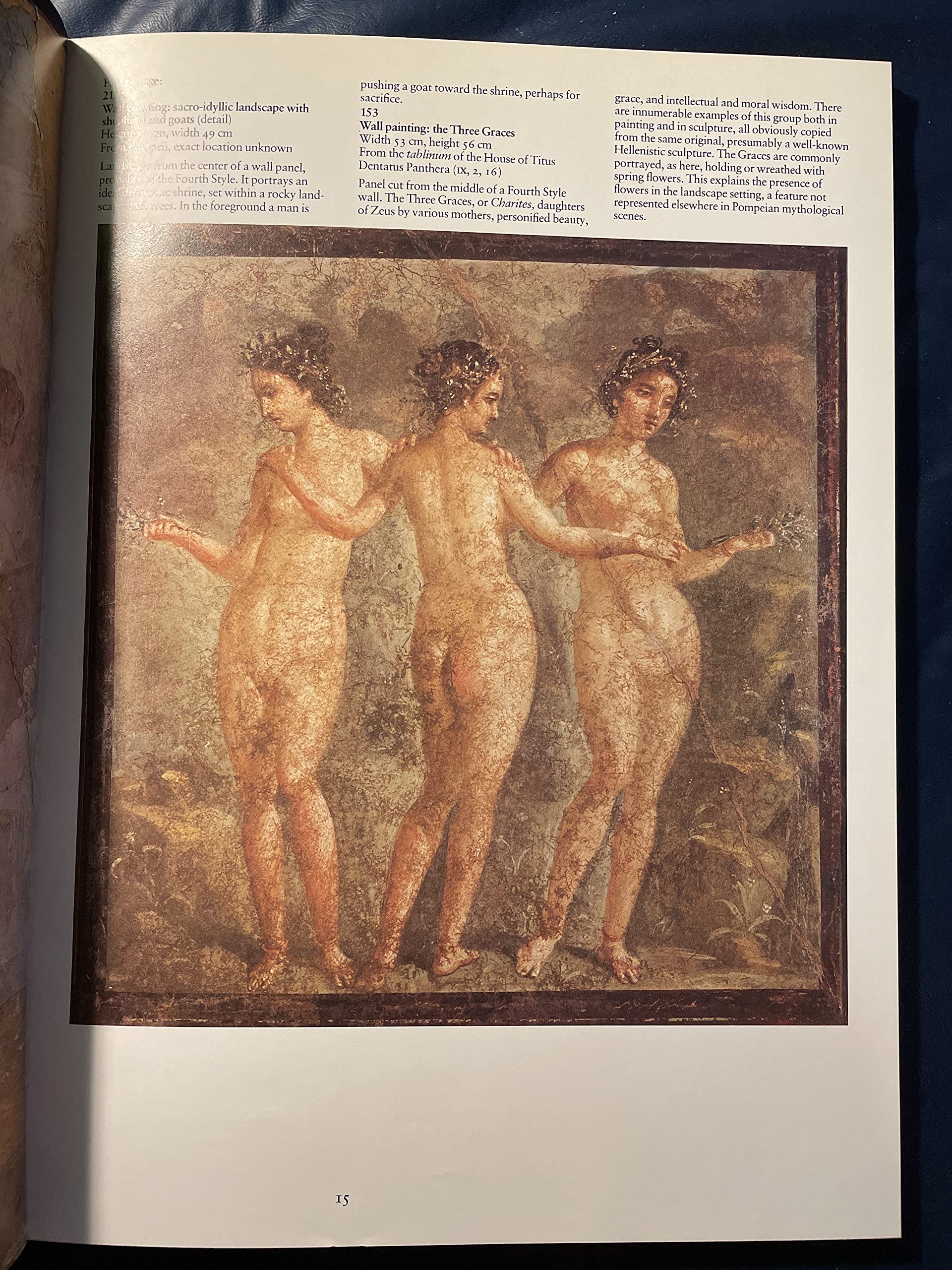 Pompeii A.D. 79: Treasures from the National Archaeological Museum, Naples, and the Pompeii Antiquarium (Volumes I and II),Used