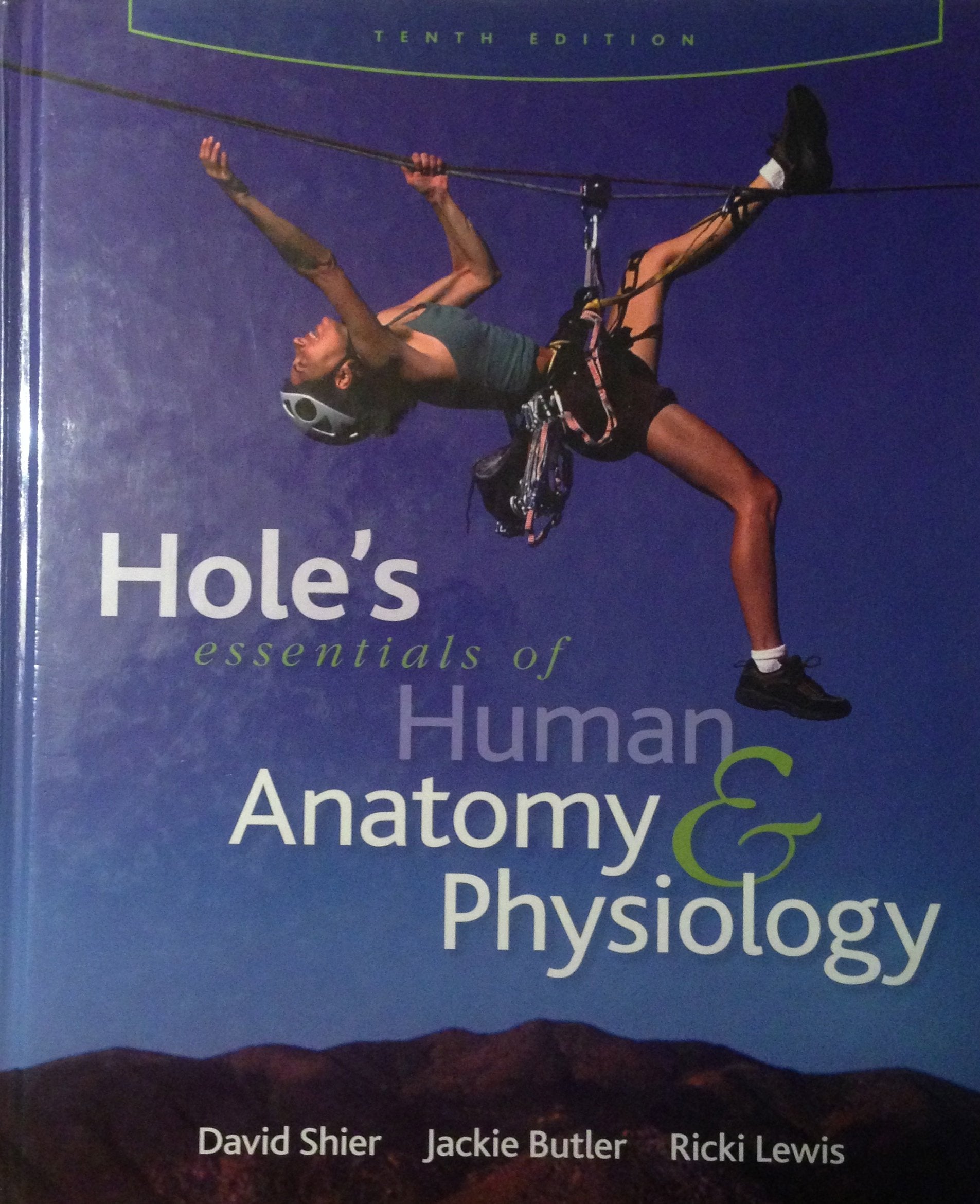 Hole'S Essentials Of Human Anatomy & Physiology,New
