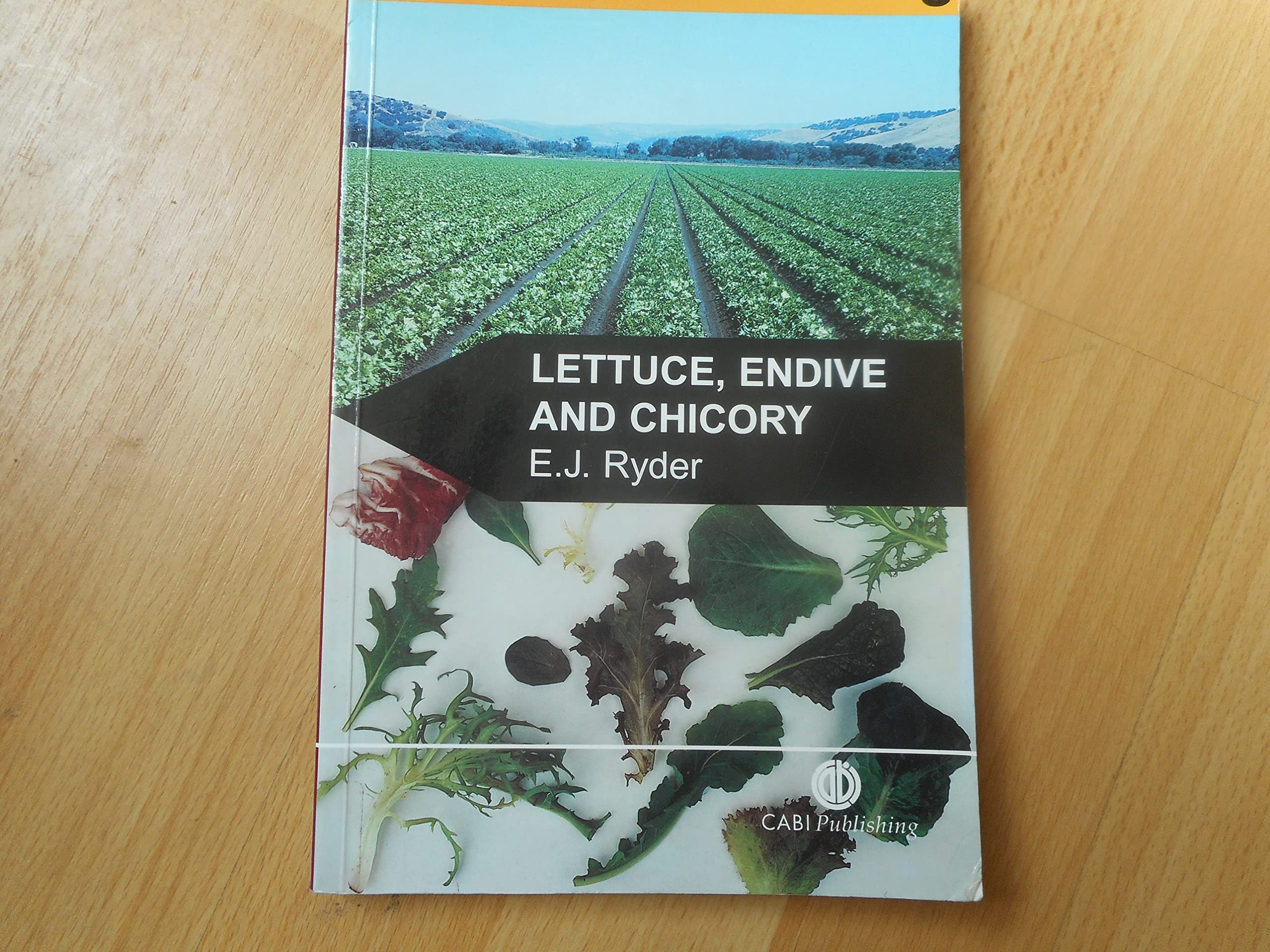 Lettuce, Endive And Chicory (Crop Production Science In Horticulture,9),Used