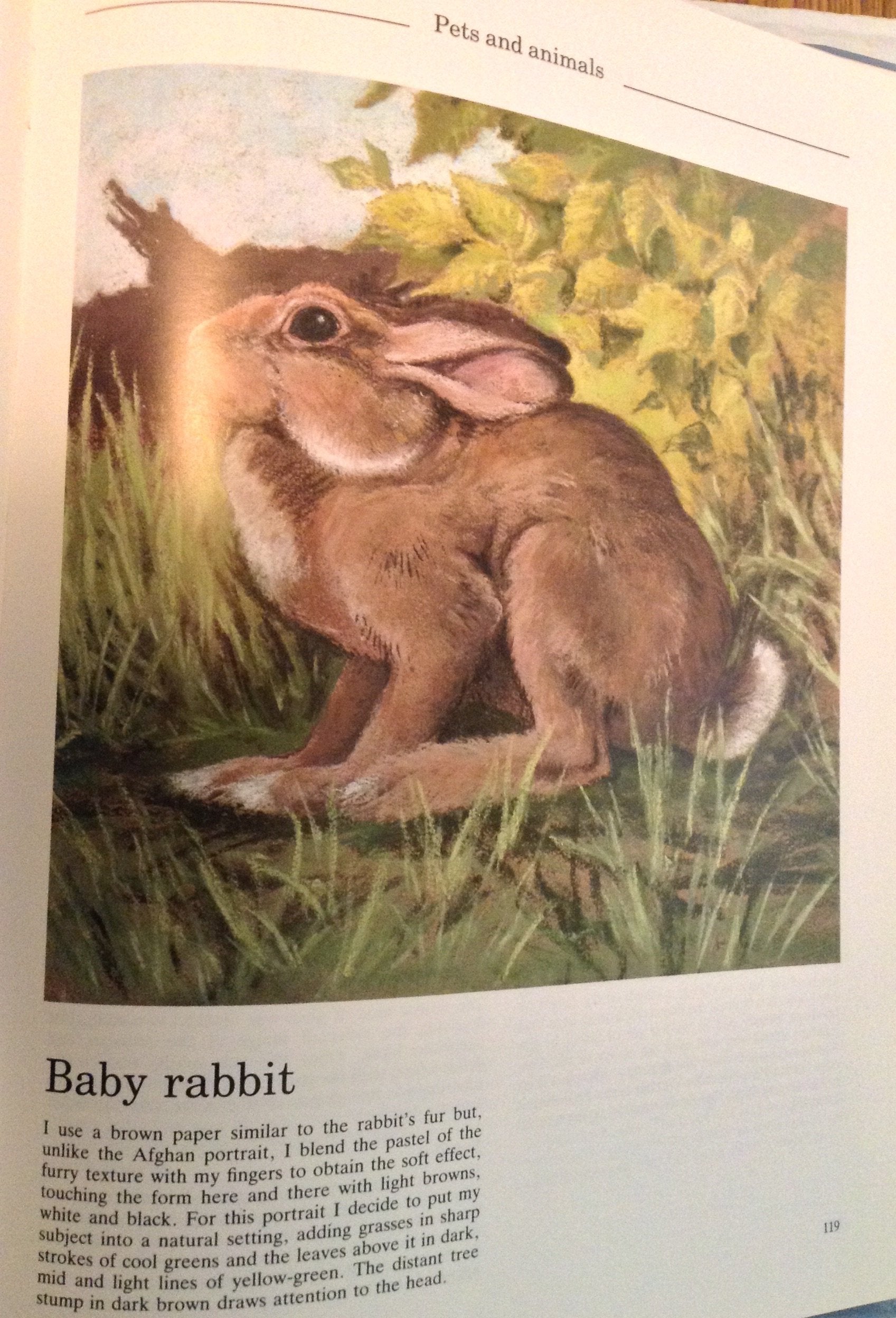 Painting with Pastel,Used