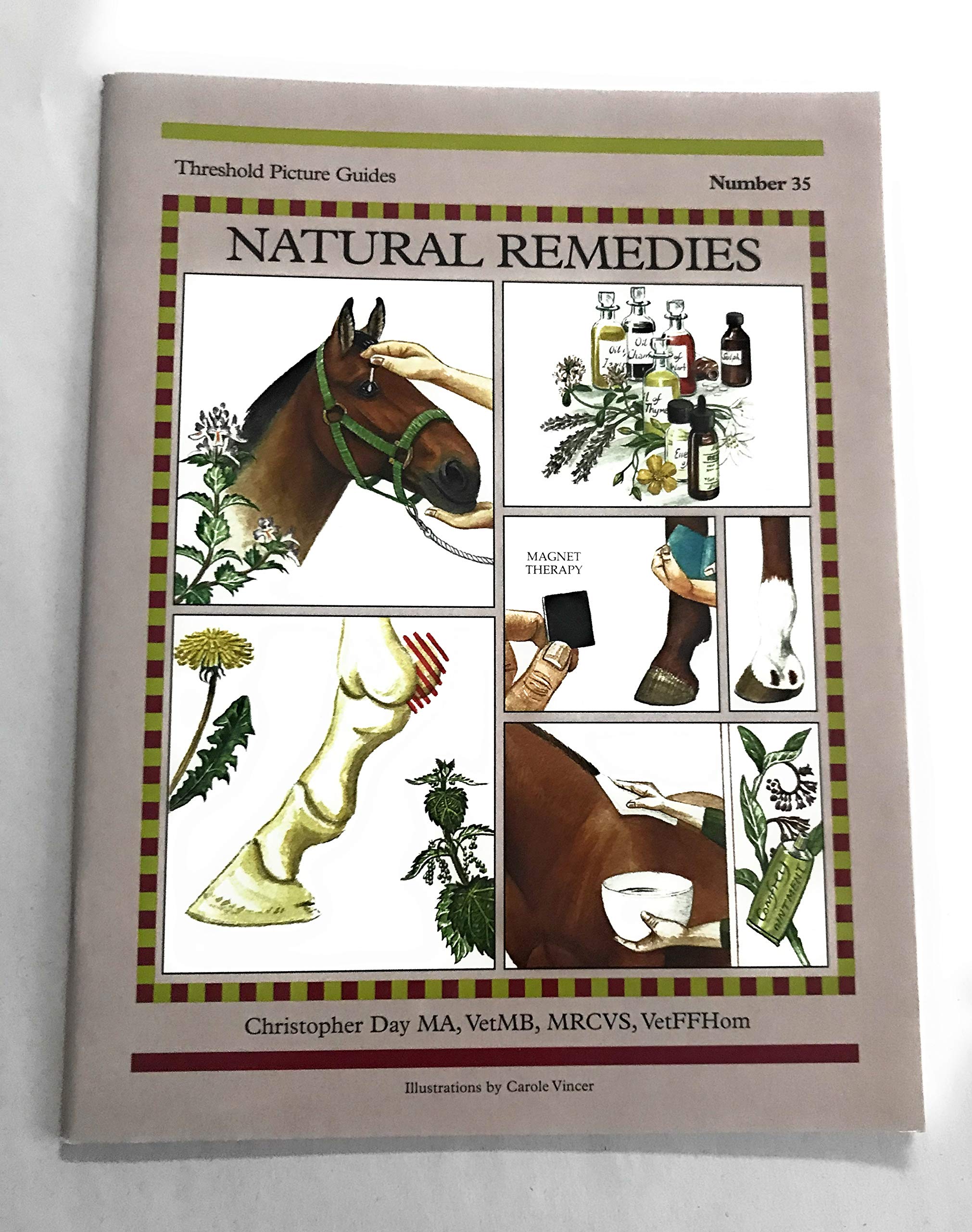 Natural Remedies (Threshold Picture Guides),Used