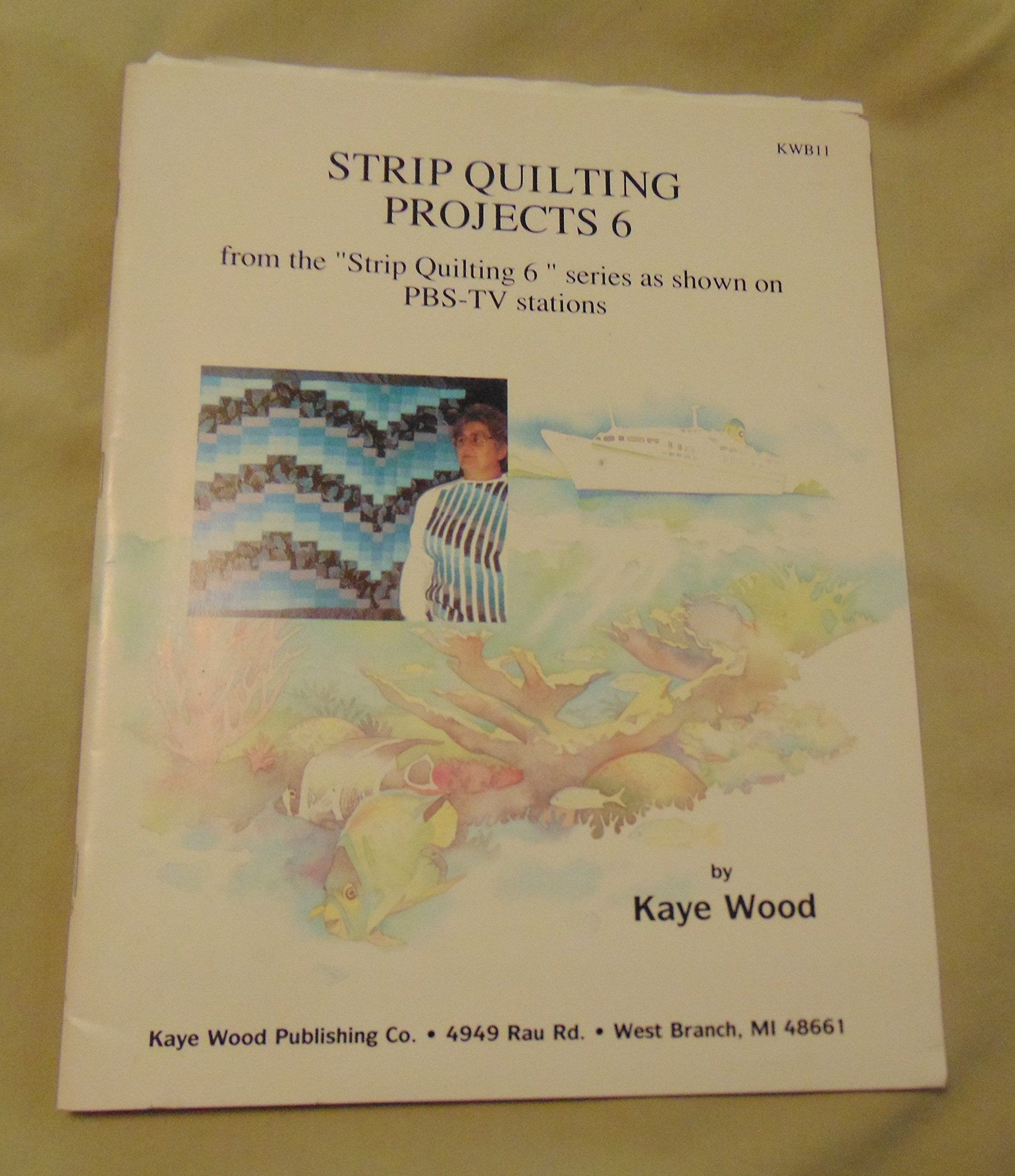Strip Quilting Projects: Quick Strip Quilting from the PbsTV Series 6 Strip Quilting by Kaye Wood,Used