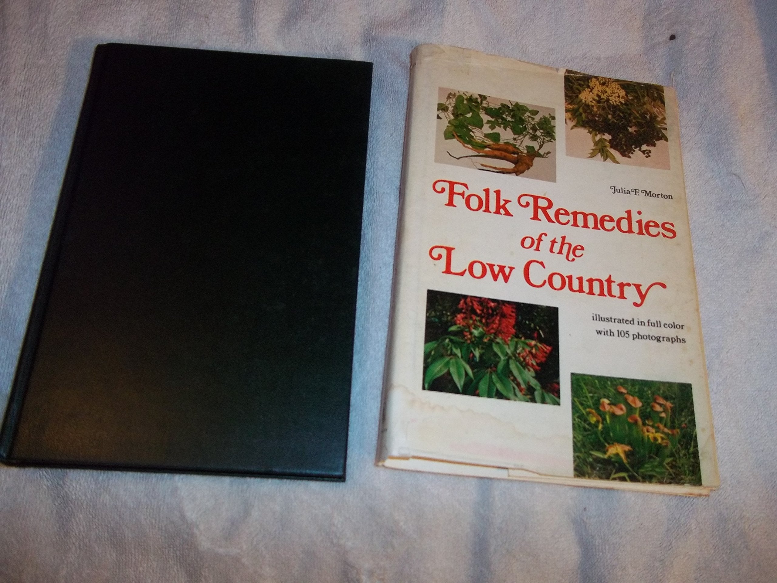 Folk Remedies of the Low Country,New