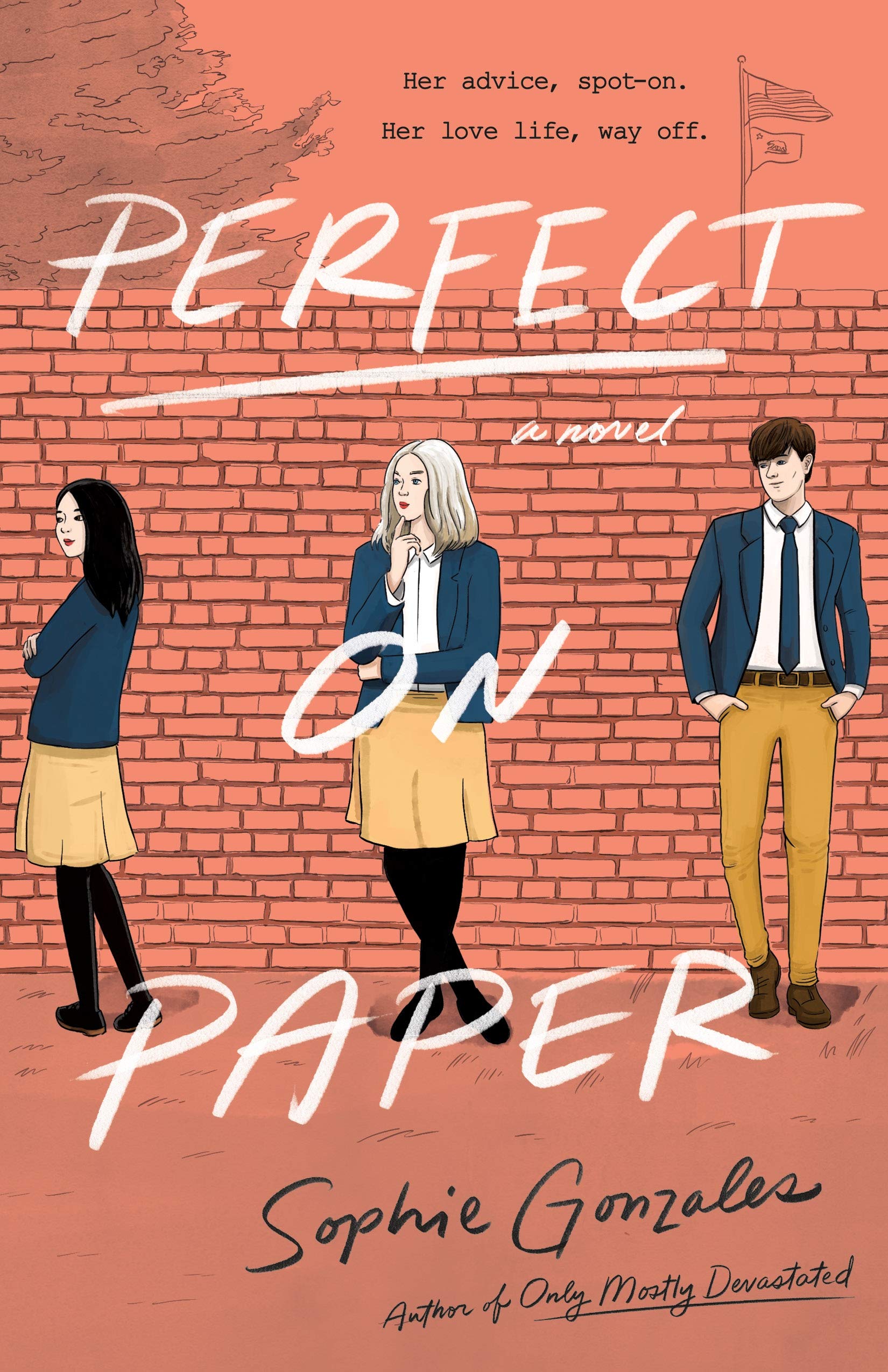 Perfect on Paper: A Novel,Used