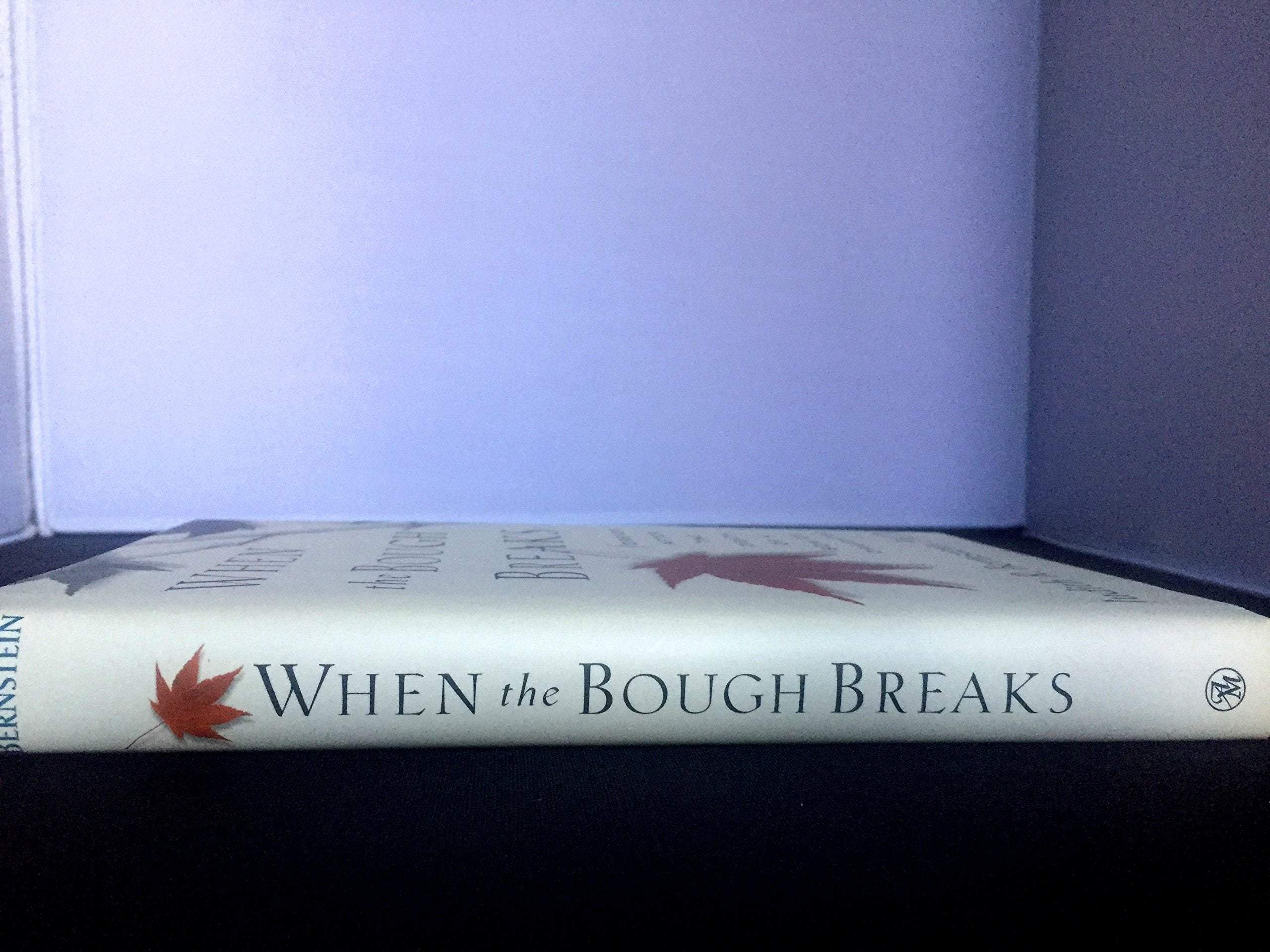 When the Bough Breaks: Forever After the Death of a Son or Daughter,Used