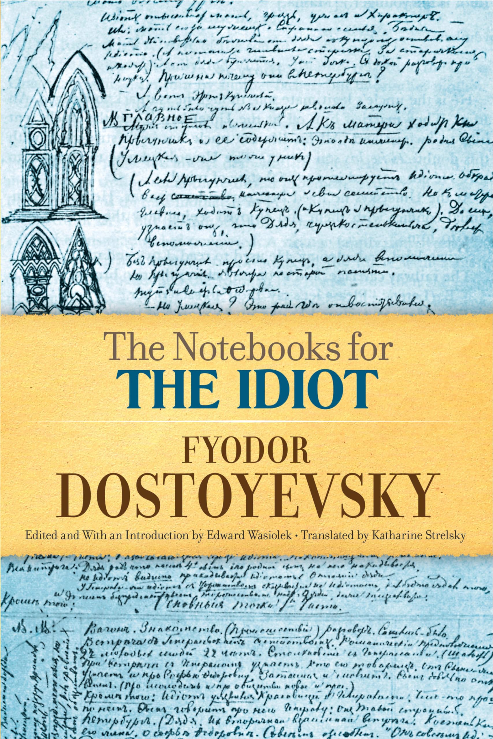 The Notebooks for The Idiot,Used