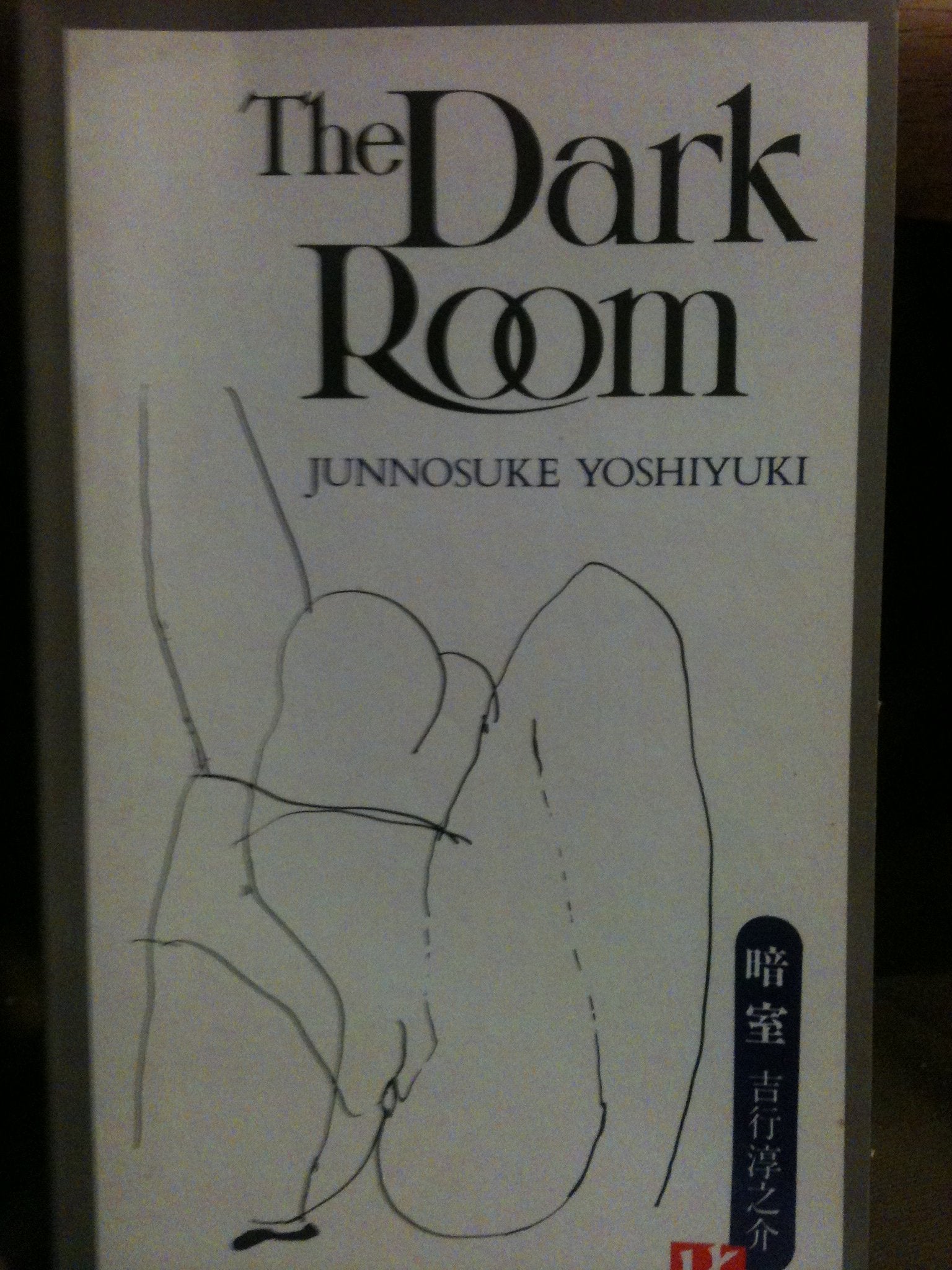The Dark Room (Kodansha Modern Writers Series),Used
