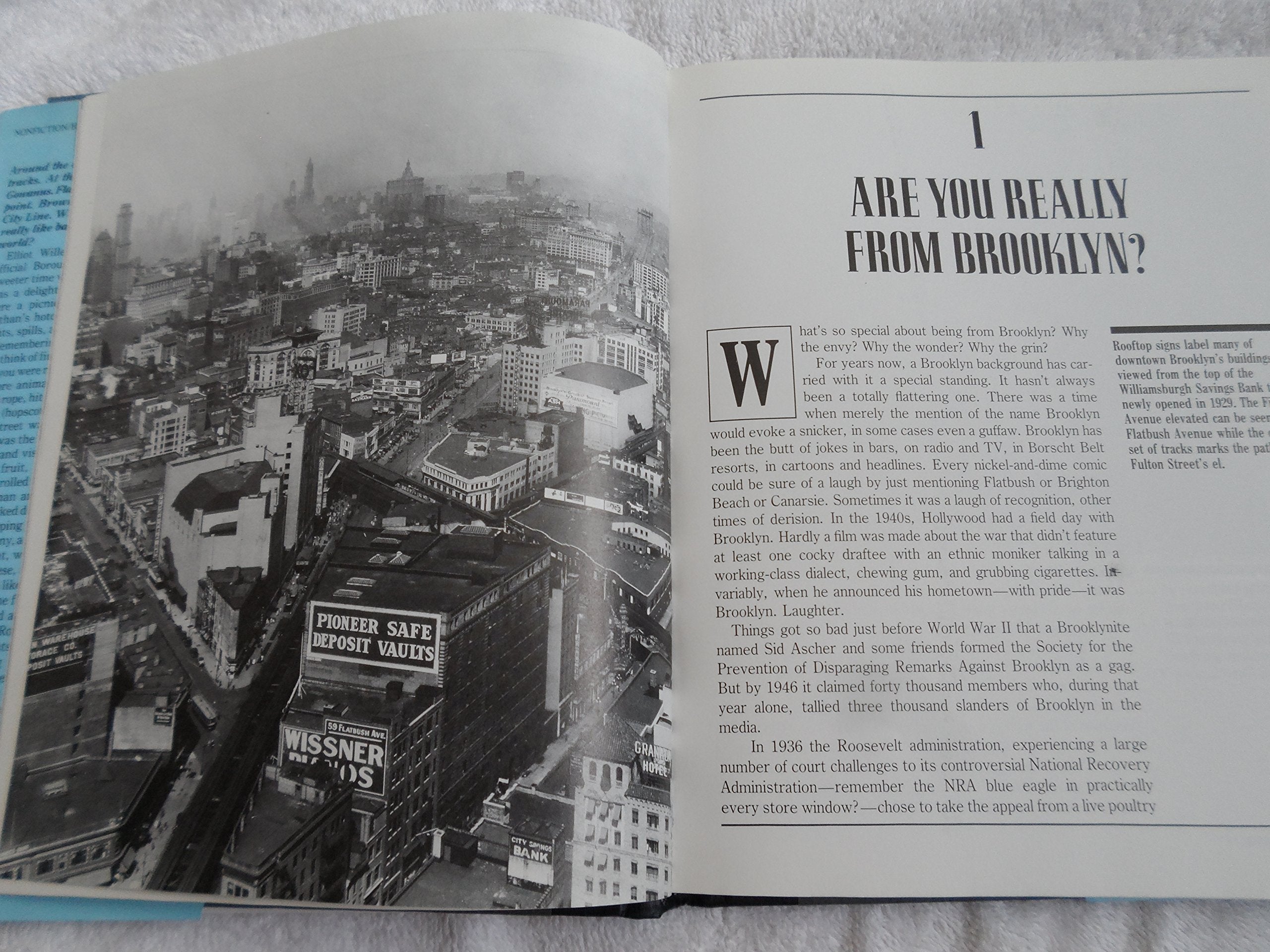 When Brooklyn Was the World, 19201957,Used