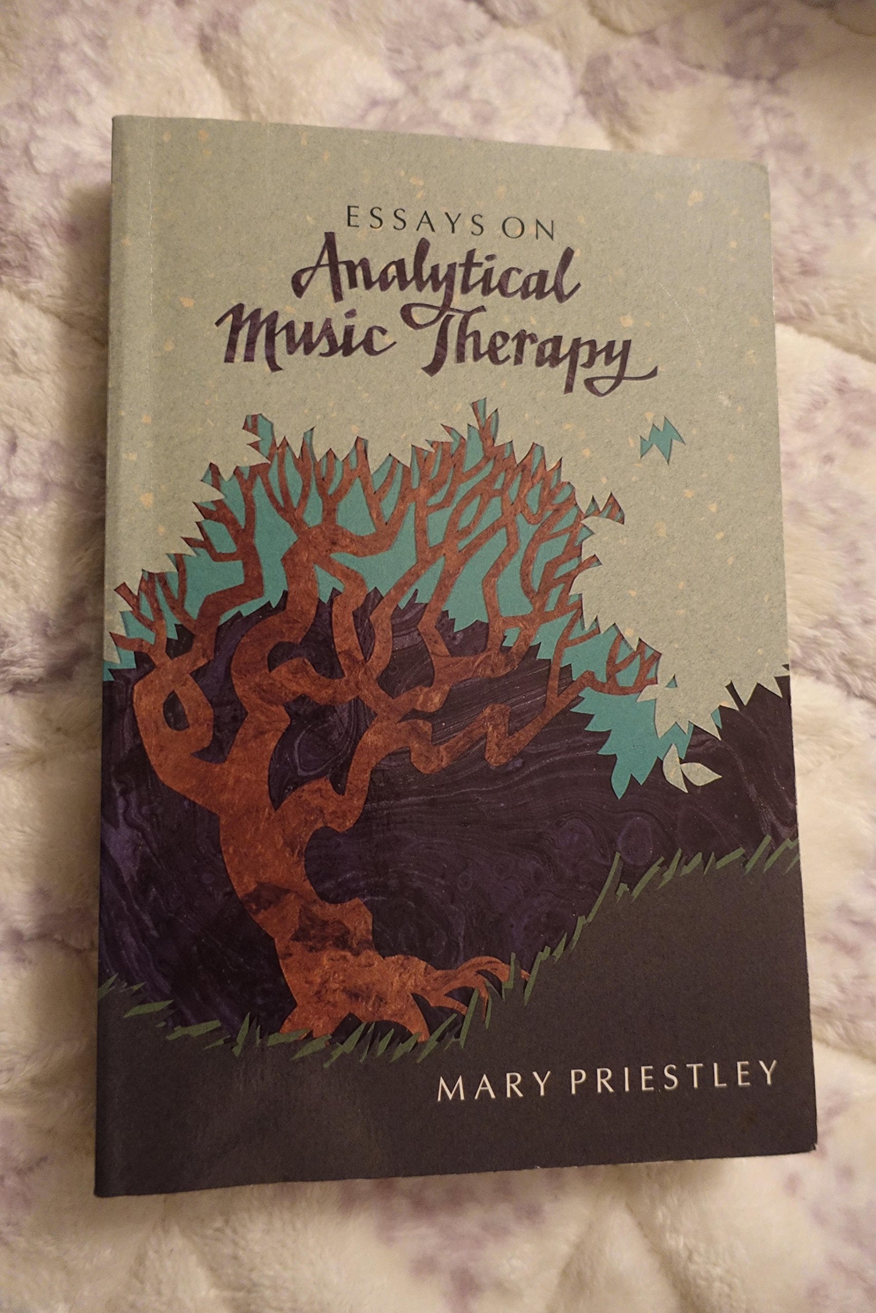 Essays On Analytical Music Therapy,Used