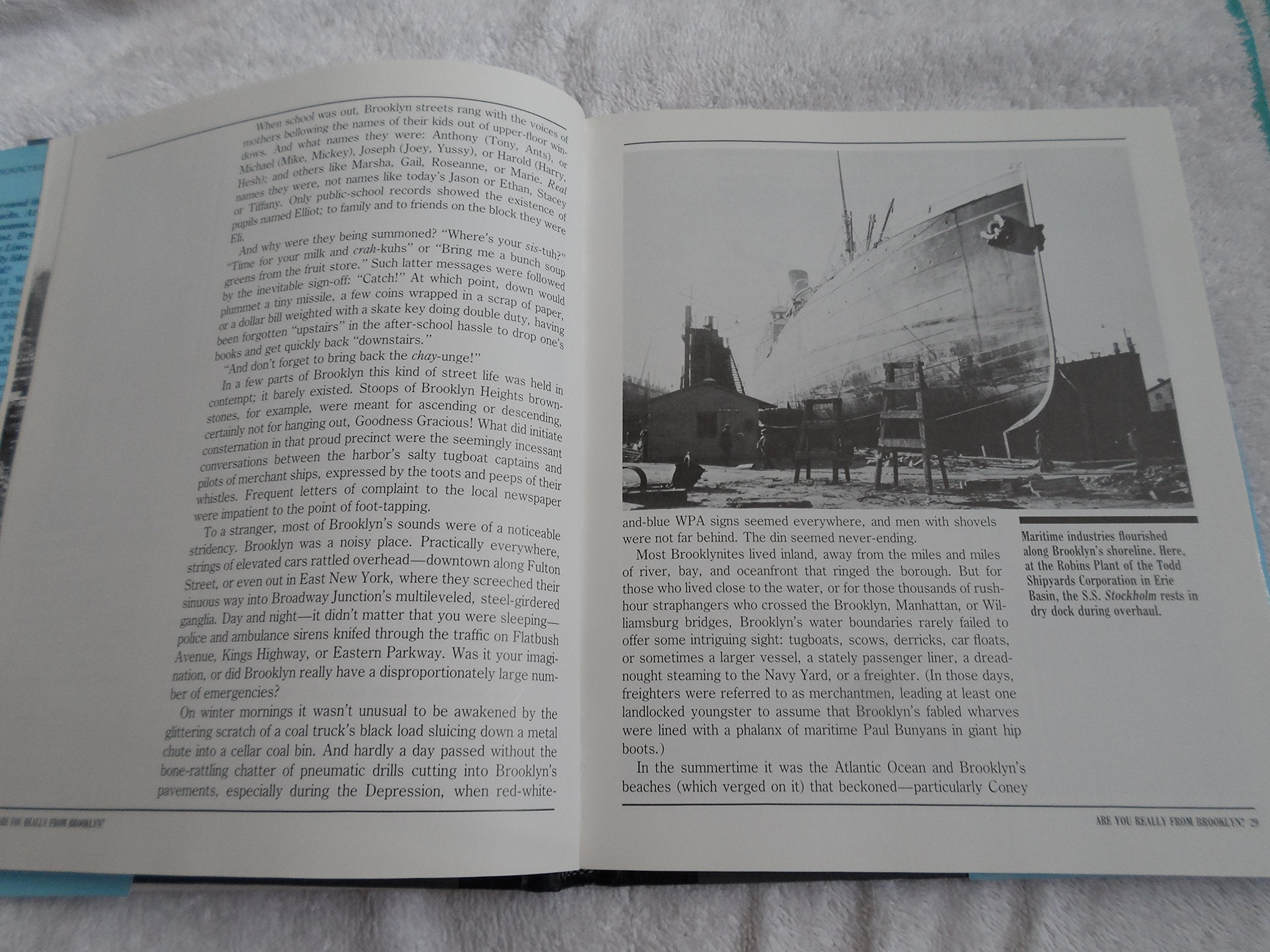 When Brooklyn Was the World, 19201957,Used