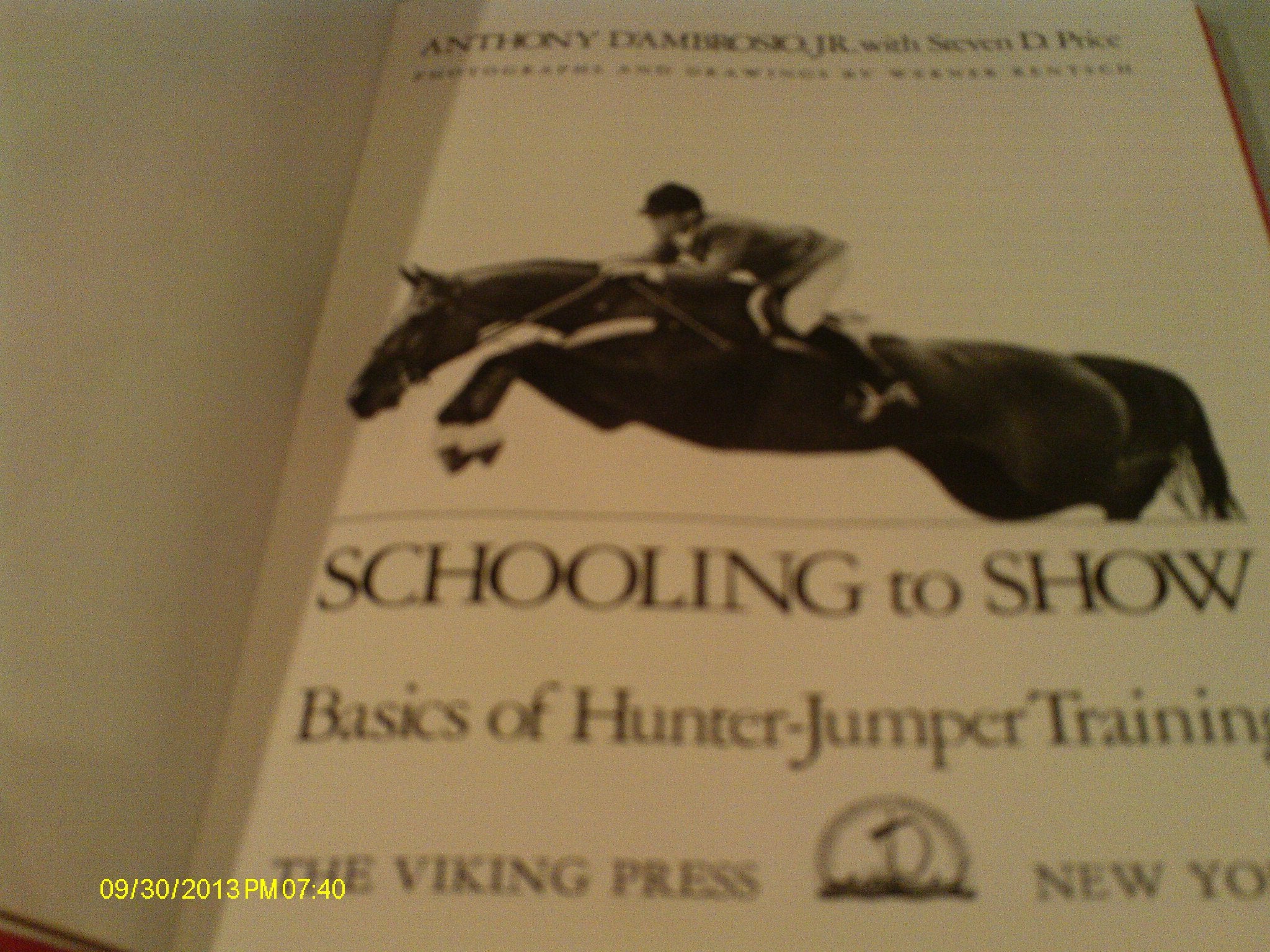 Schooling To Show: Basics Of Hunterjumper Training