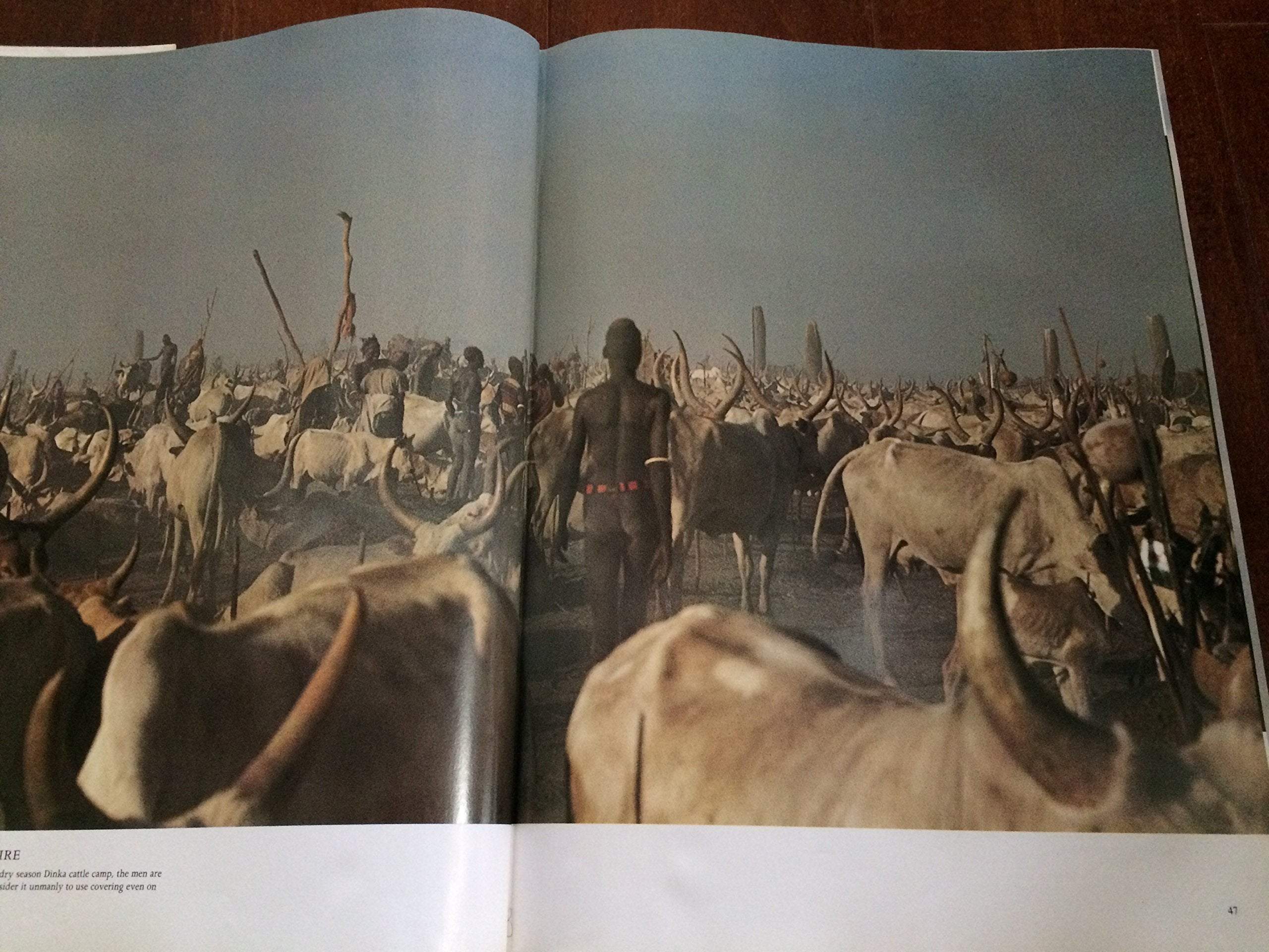 Africa Adorned,Used