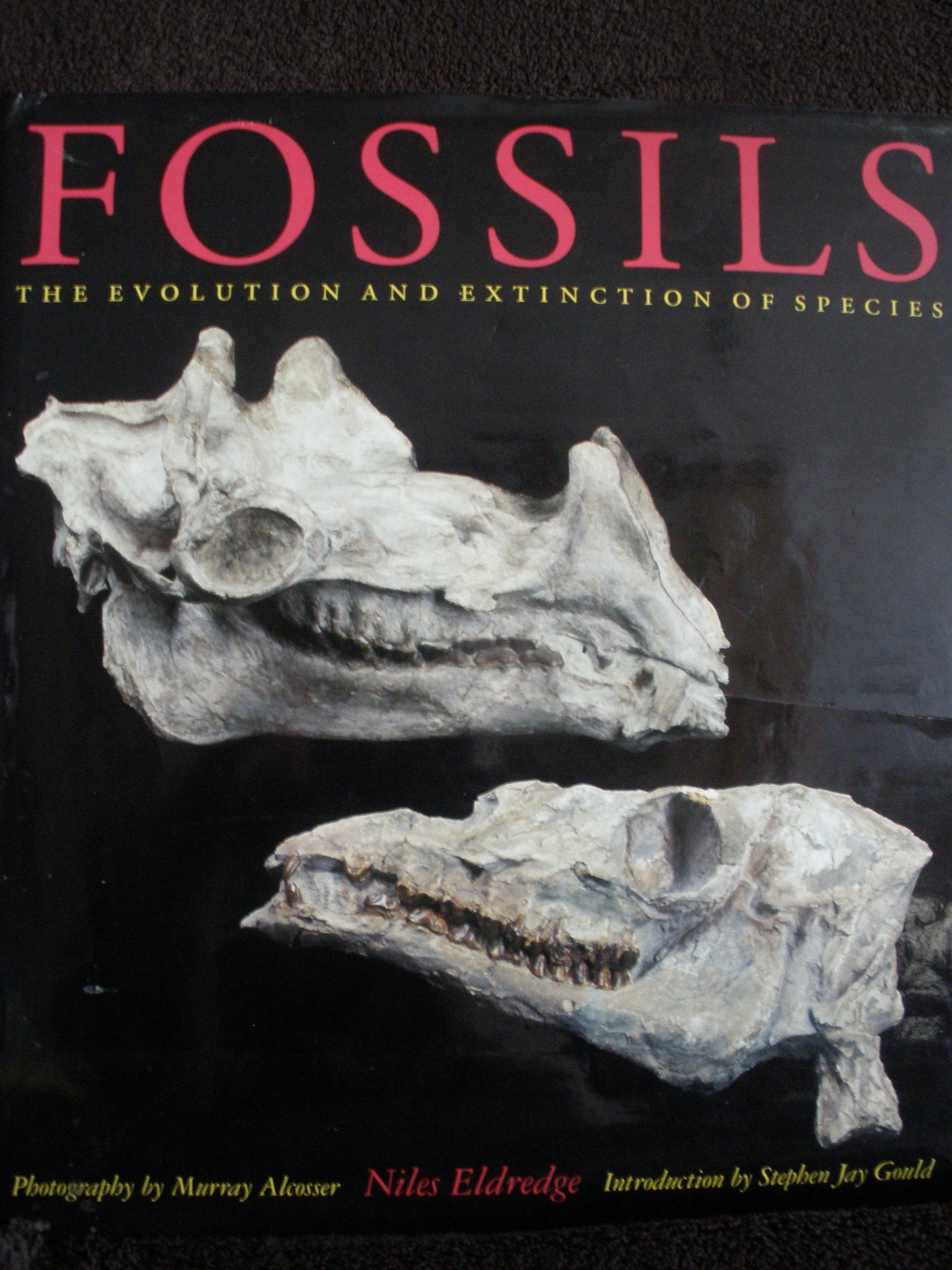 Fossils: The Evolution and Extinction of Species,New