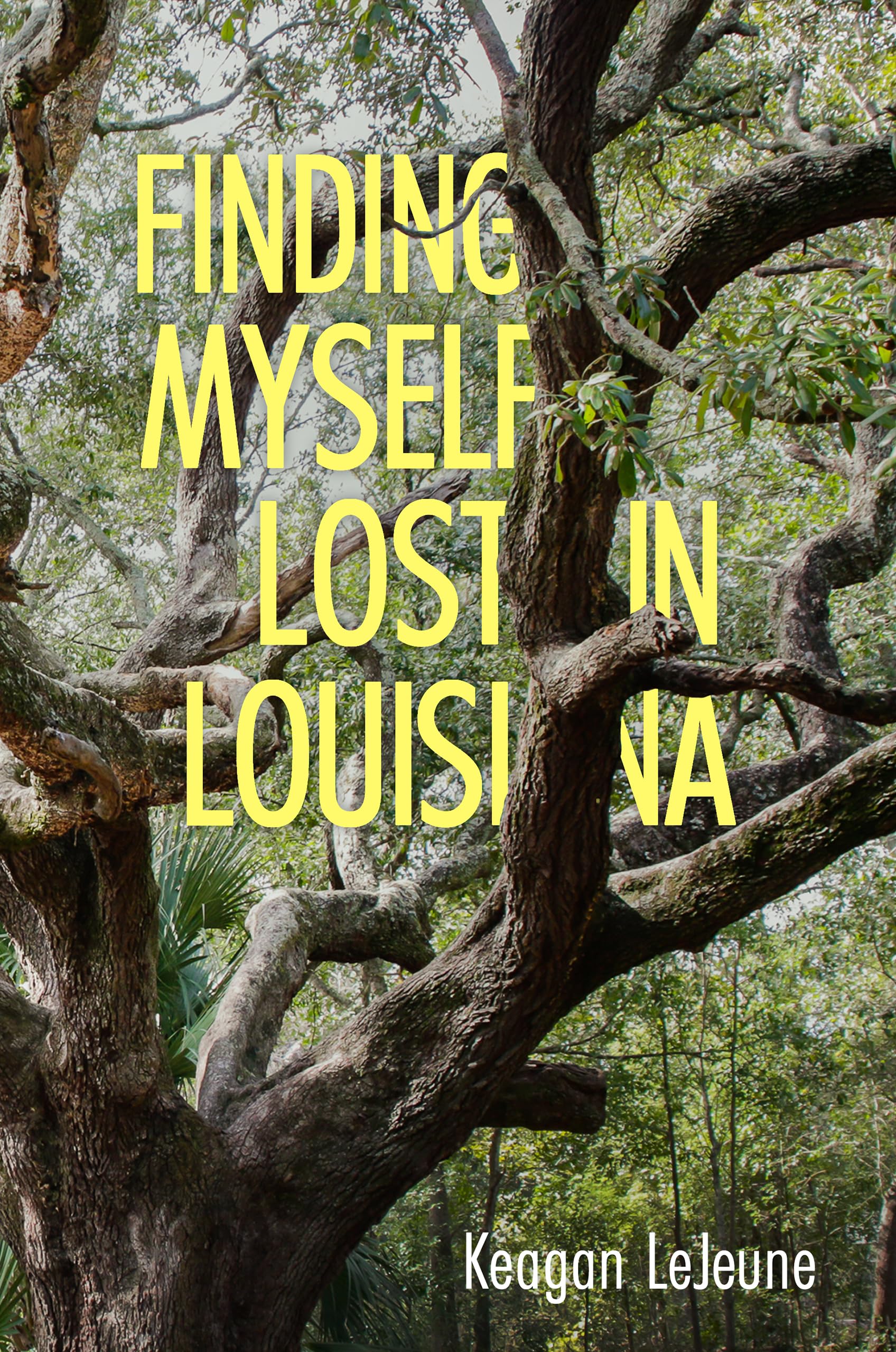 Finding Myself Lost In Louisiana,Used