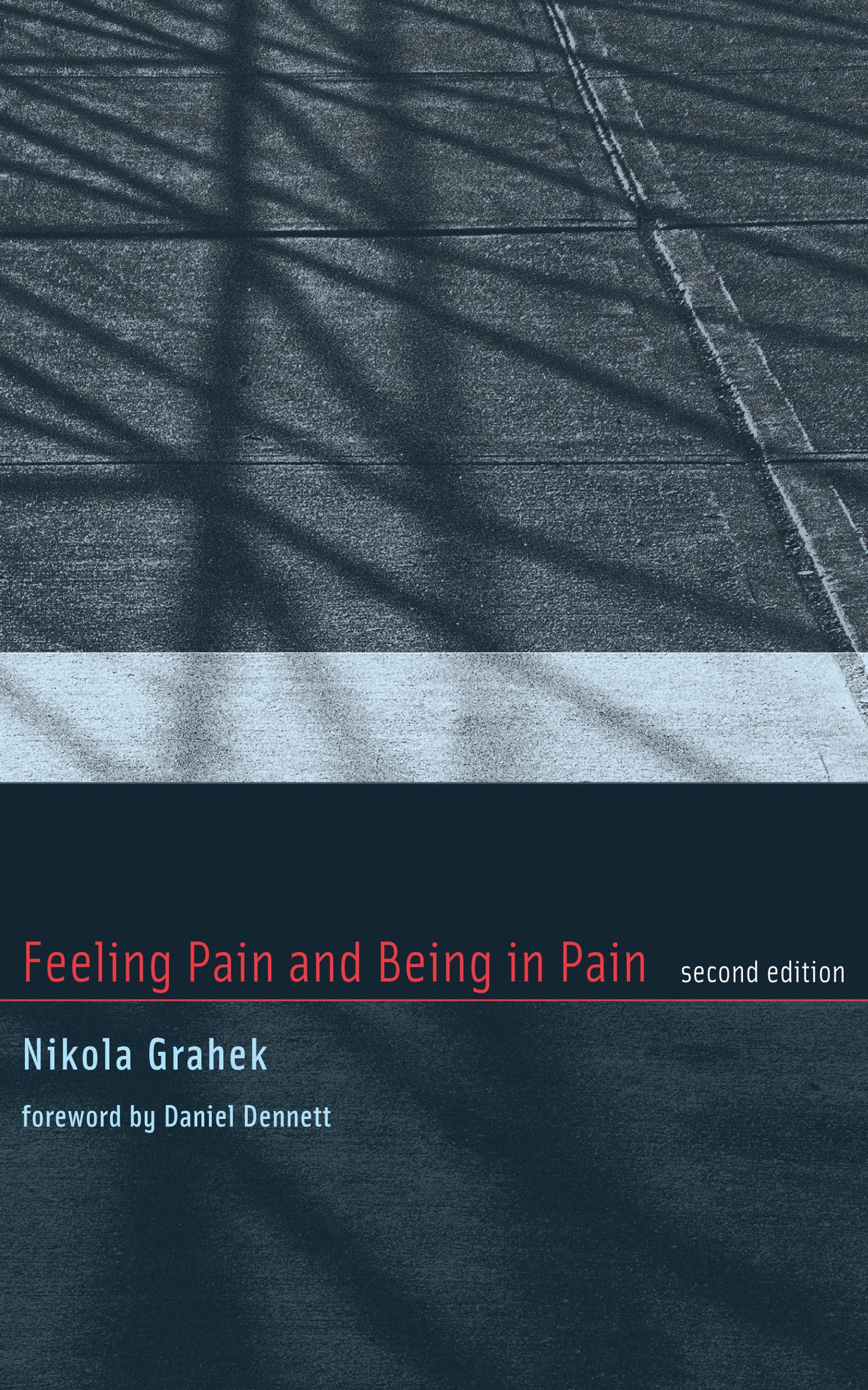 Feeling Pain and Being in Pain, second edition,Used