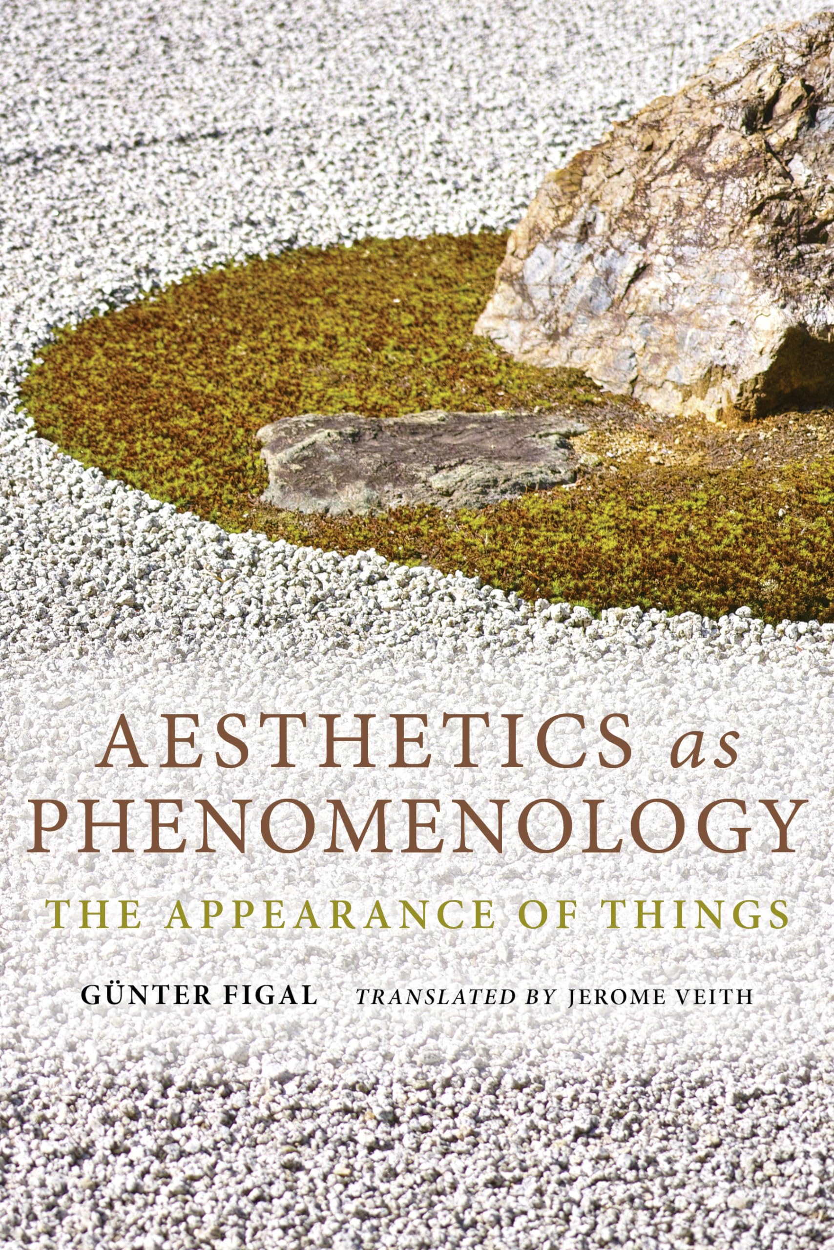 Aesthetics as Phenomenology: The Appearance of Things (Studies in Continental Thought),Used