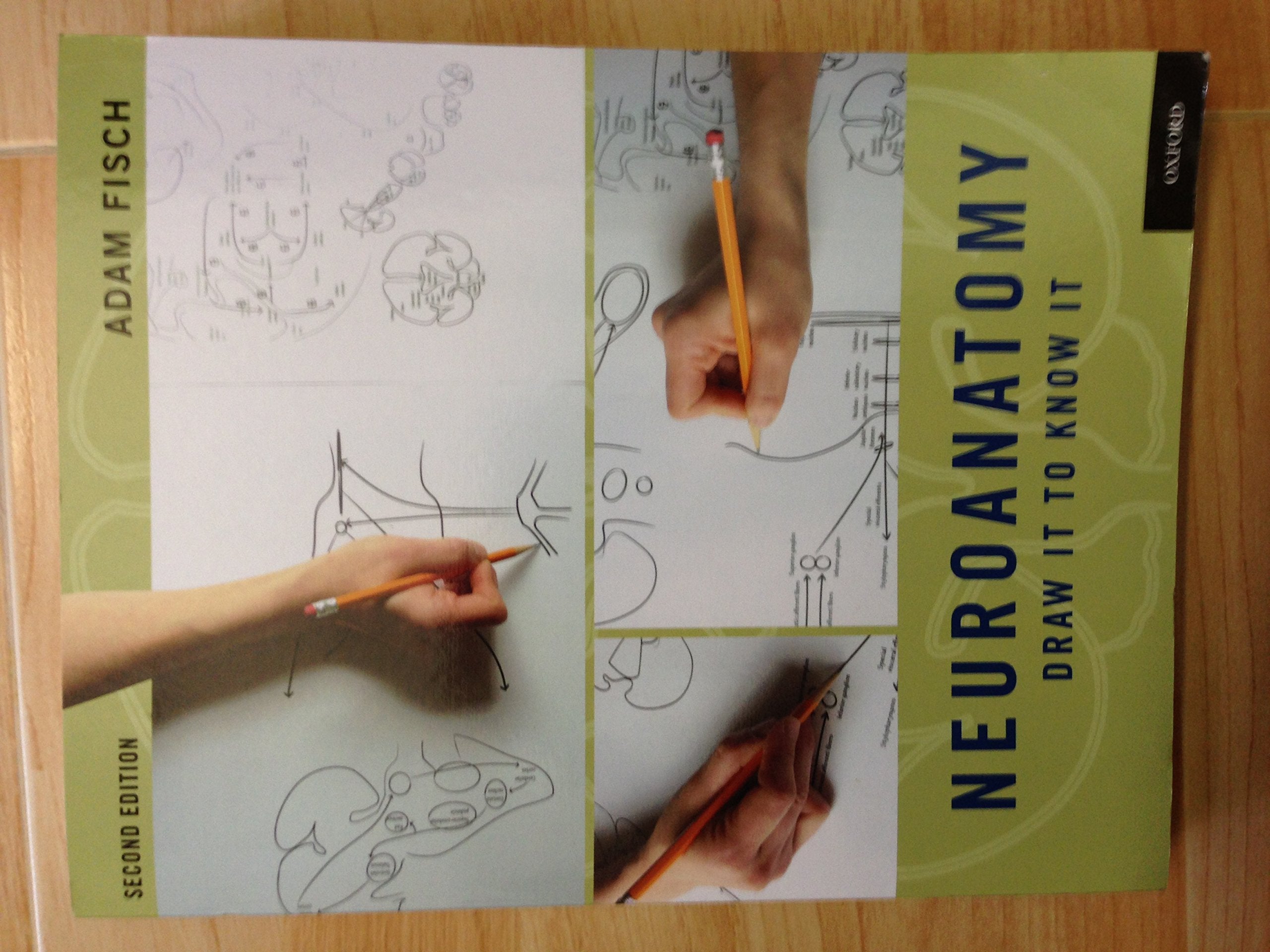 Neuroanatomy: Draw It to Know It,New