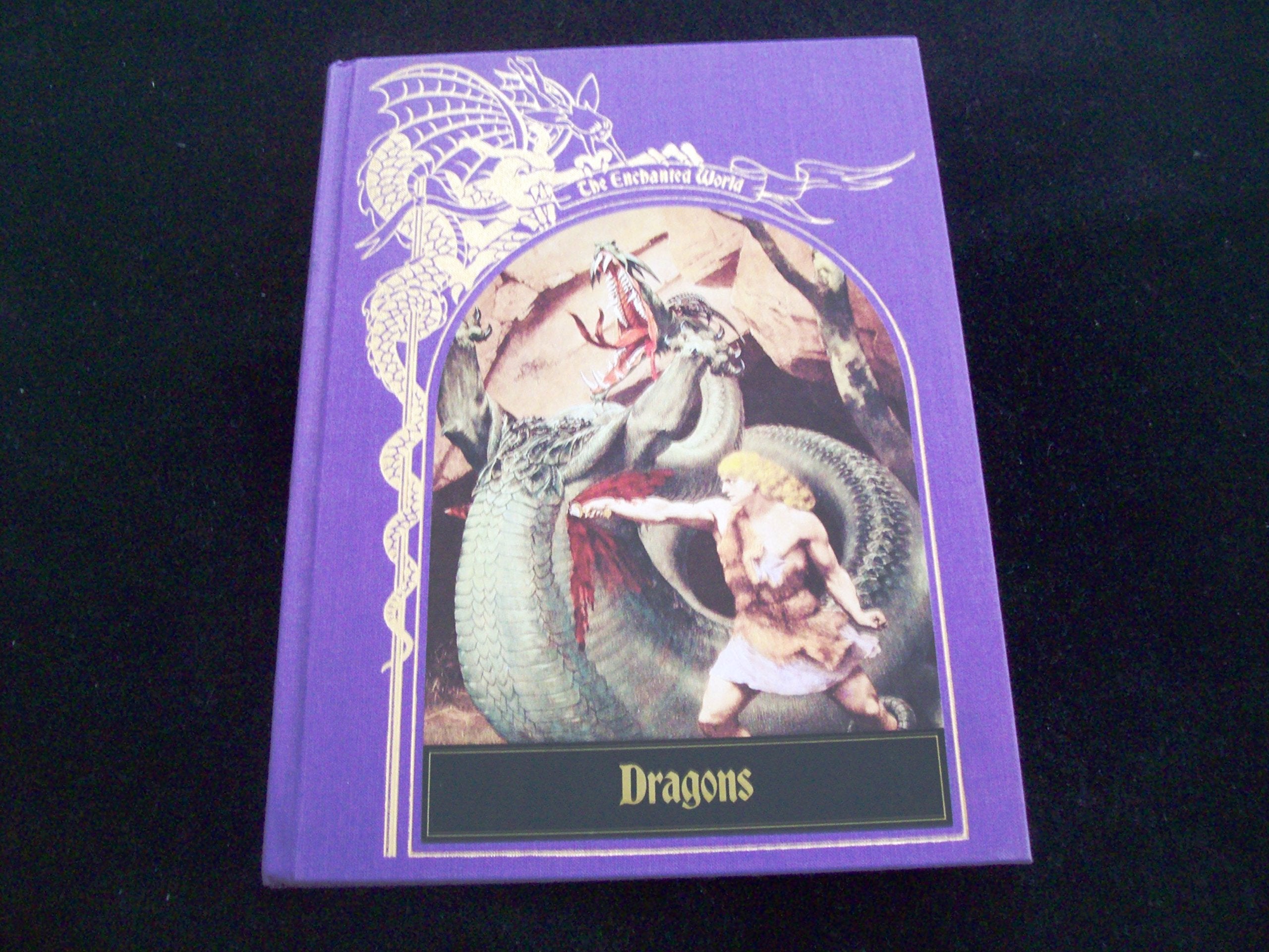 Dragons (The Enchanted World),Used