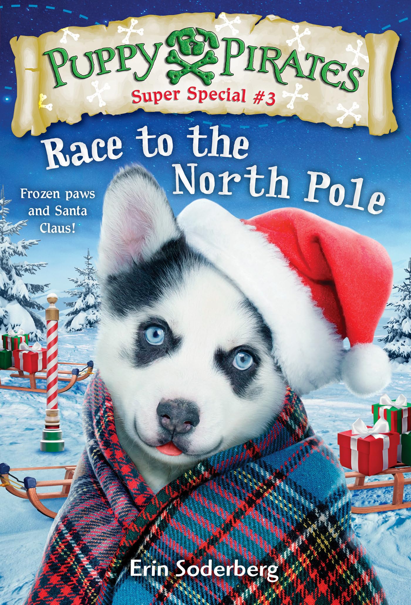 Puppy Pirates Super Special #3: Race to the North Pole,Used