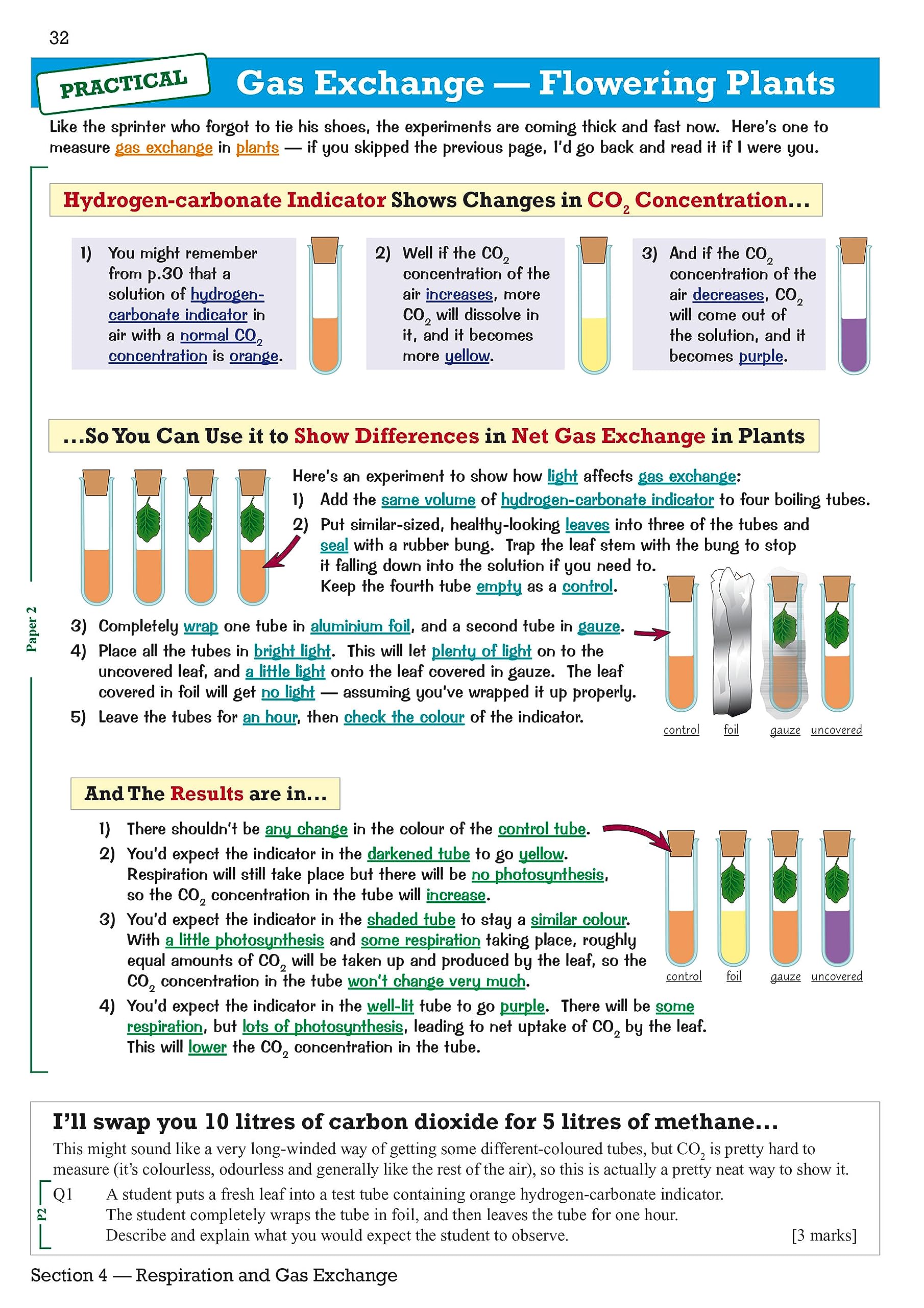 Revision Guide With Online Edition,Used