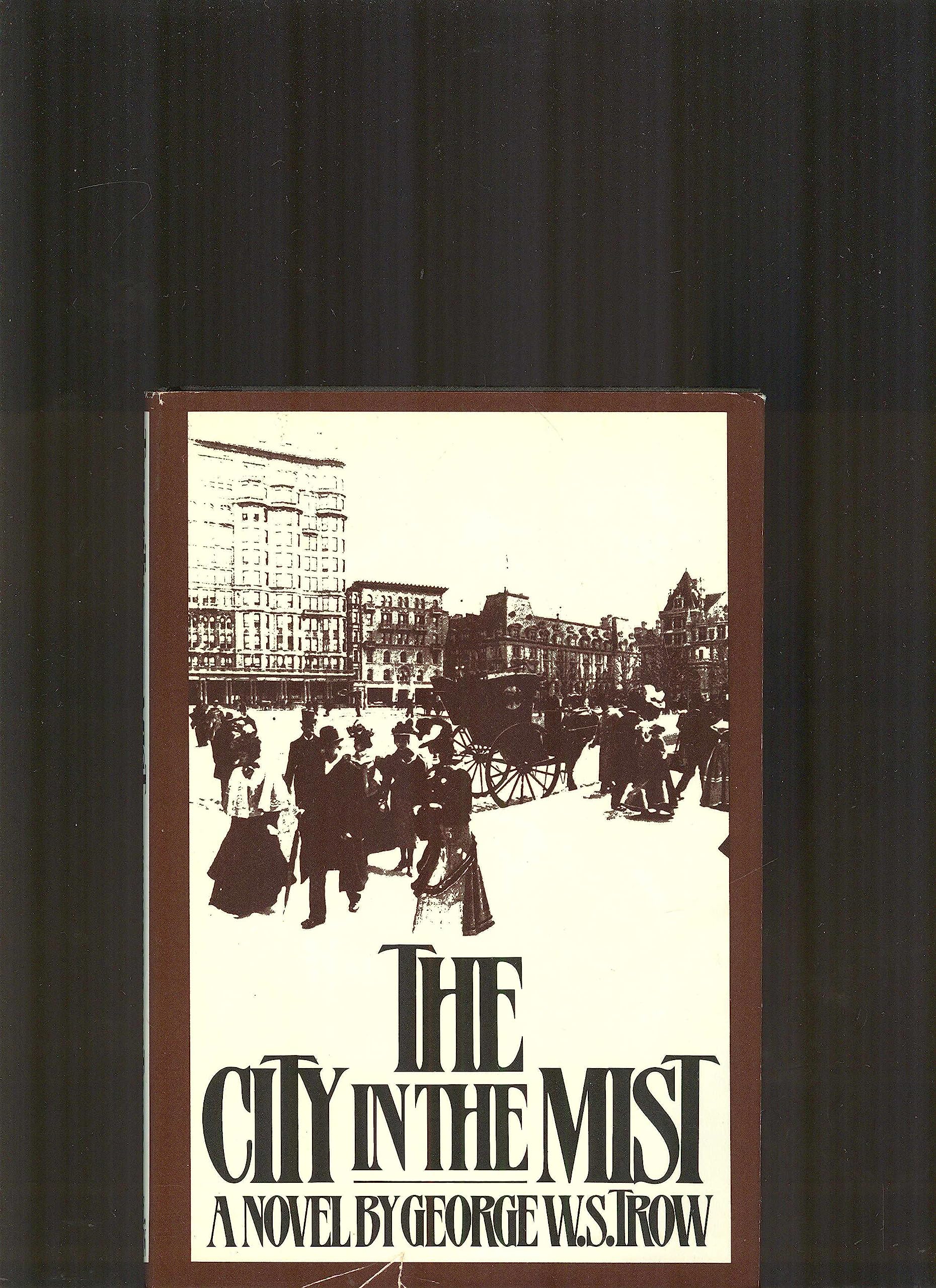 The city in the mist: A novel,Used