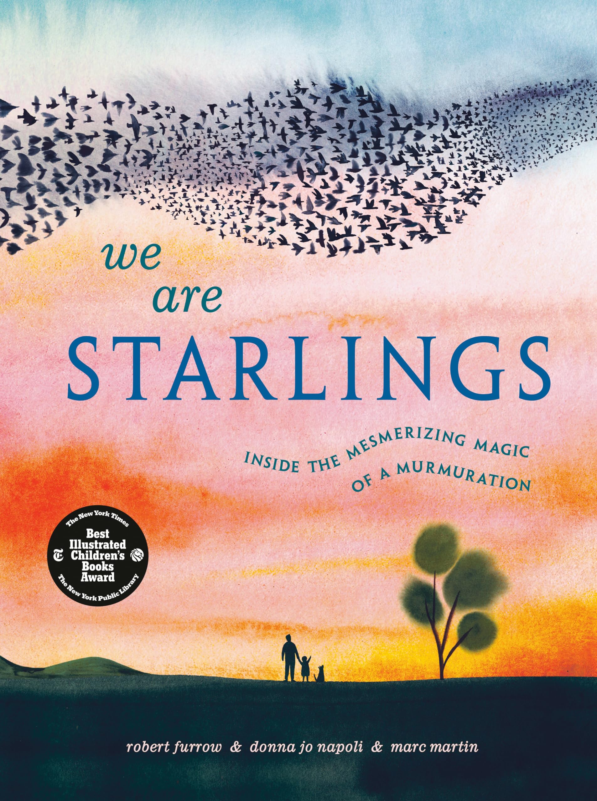 We Are Starlings: Inside The Mesmerizing Magic Of A Murmuration,Used