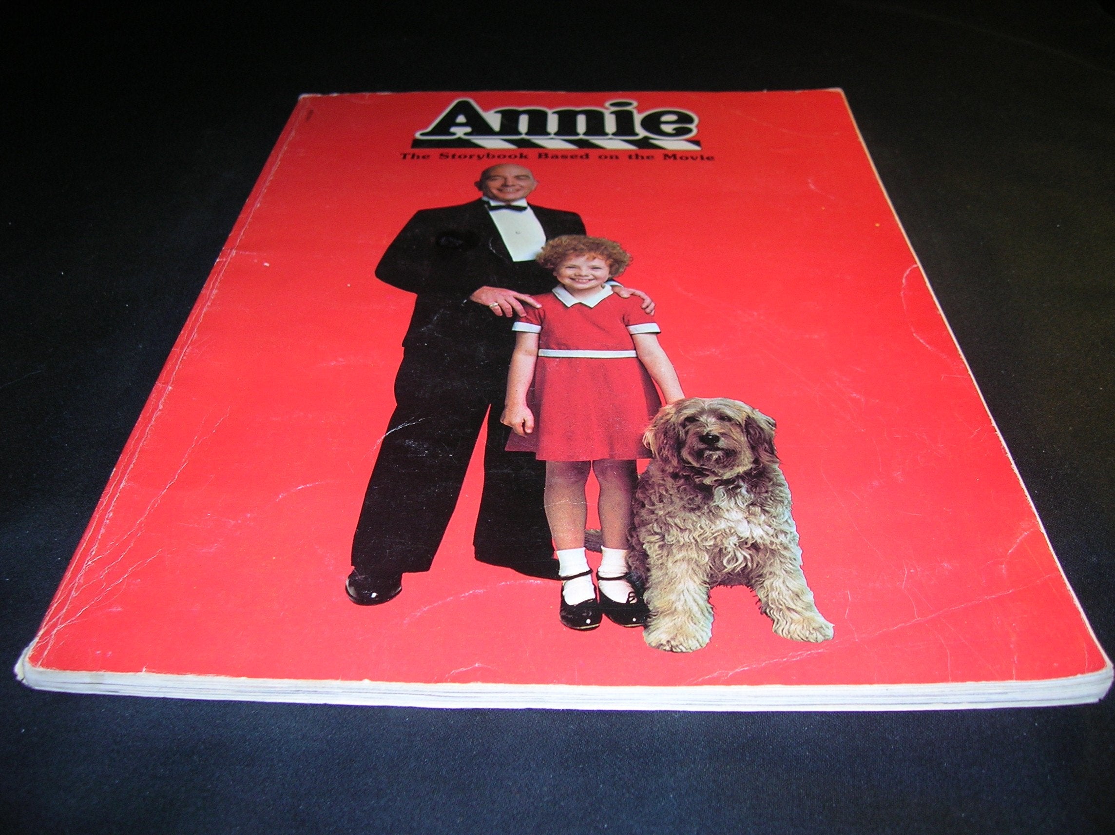 Annie: The Storybook Based On The Movie,Used