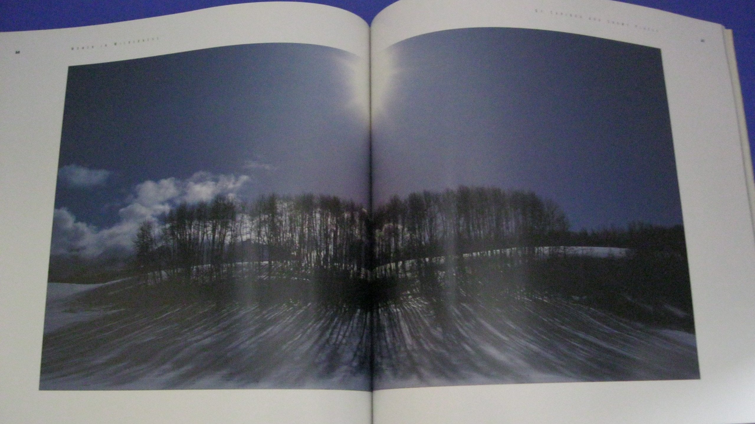 Women in Wilderness: Writings and Photographs (The Wilderness Experience),Used