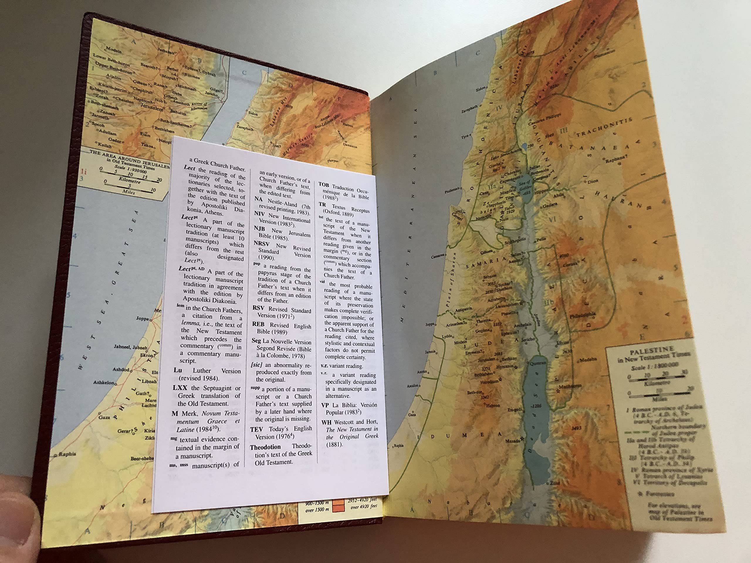 The Greek New Testament: With English Introduction/flexible,Used