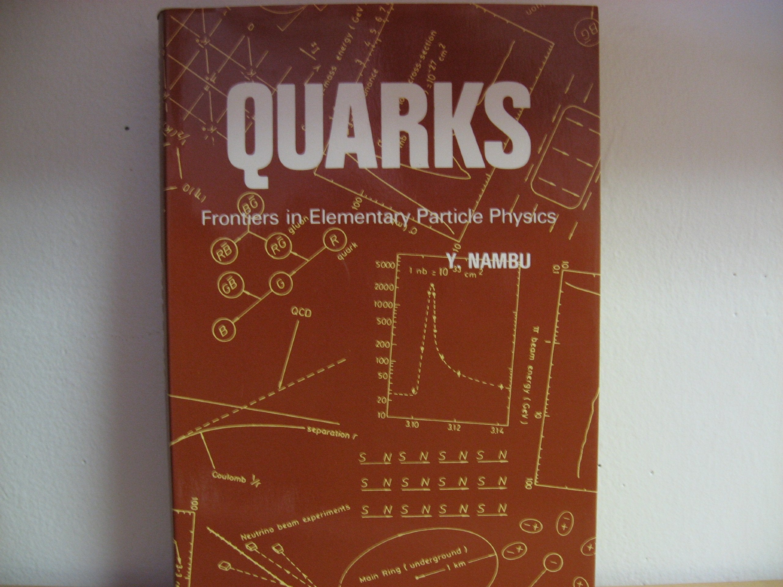 Quarks: Frontiers In Elementary Particle Physics