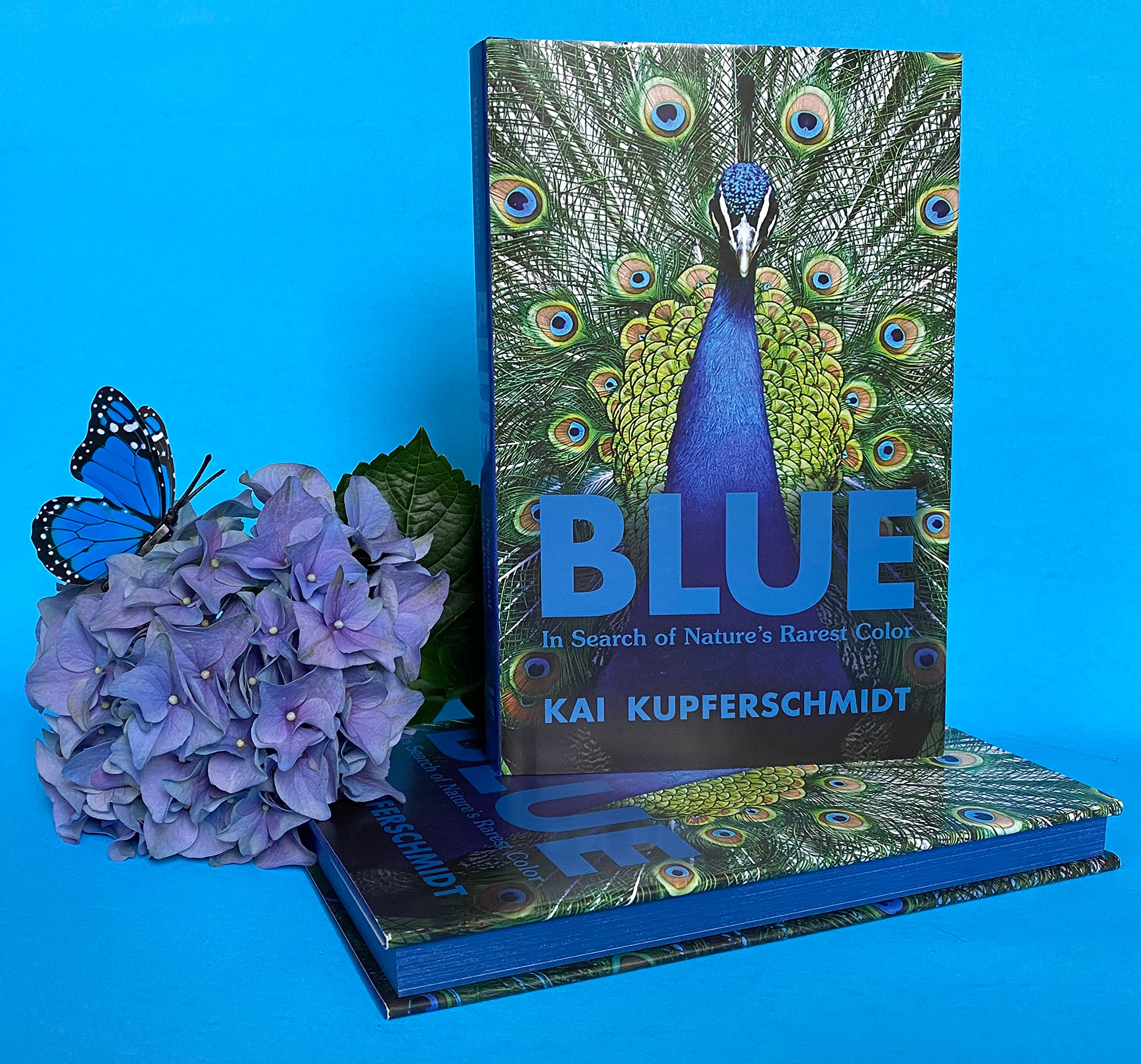 Blue: In Search of Nature's Rarest Color,Used
