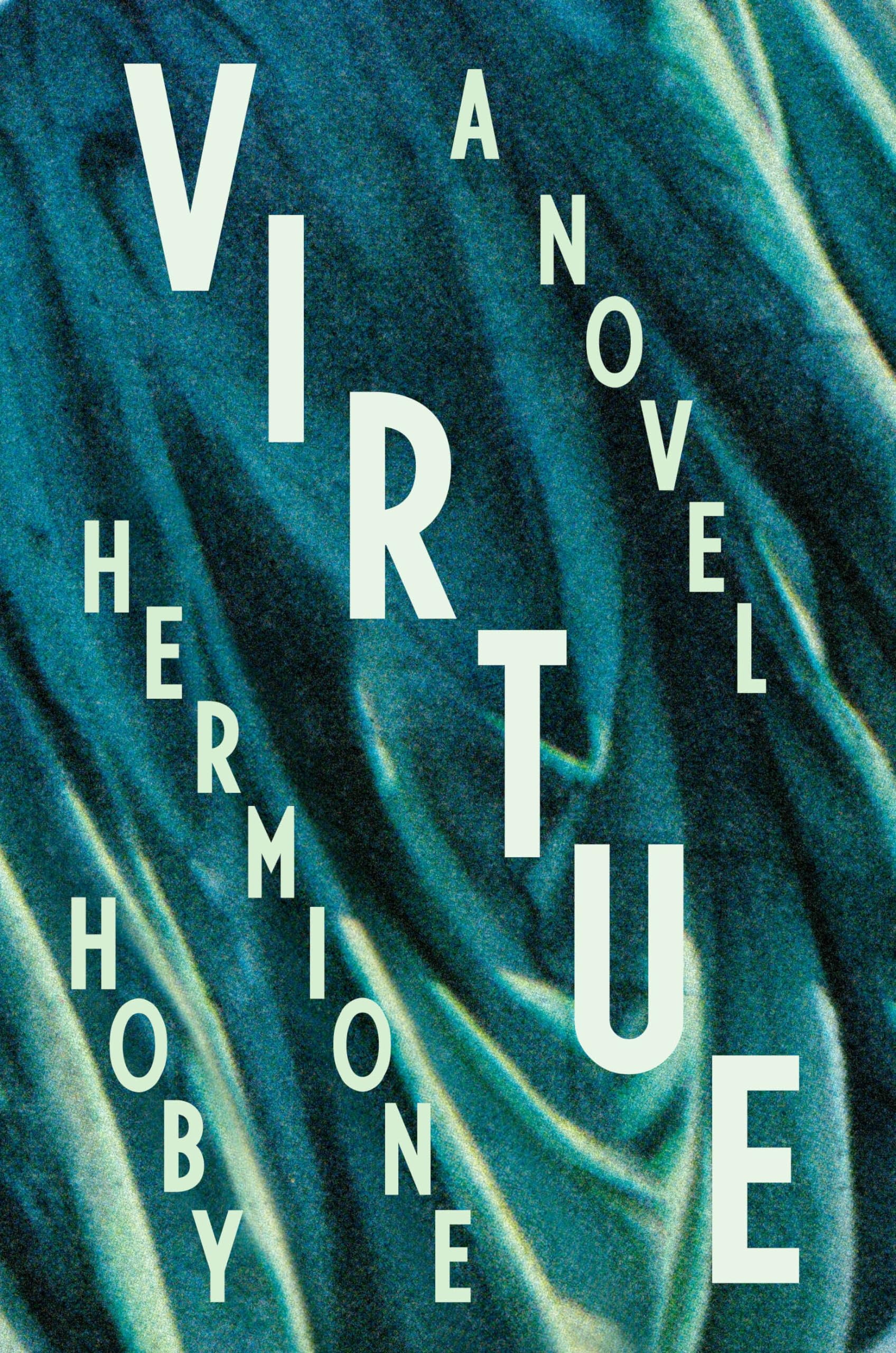 Virtue: A Novel,Used