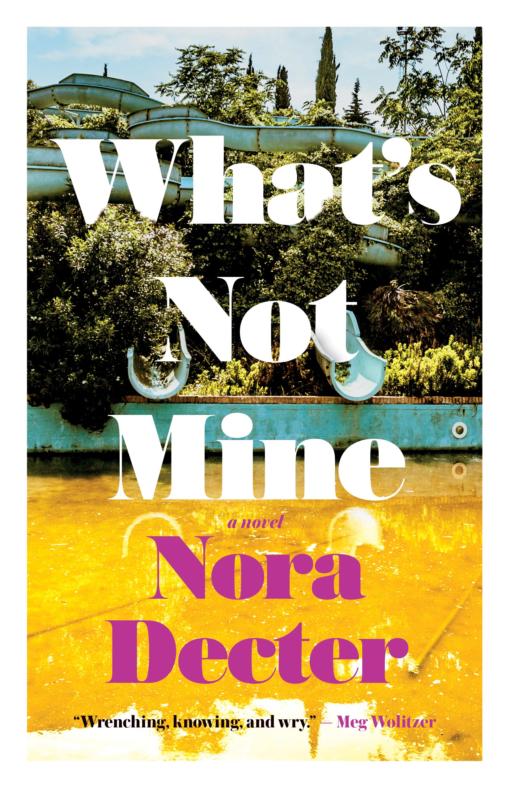 Whats Not Mine: A Novel,New