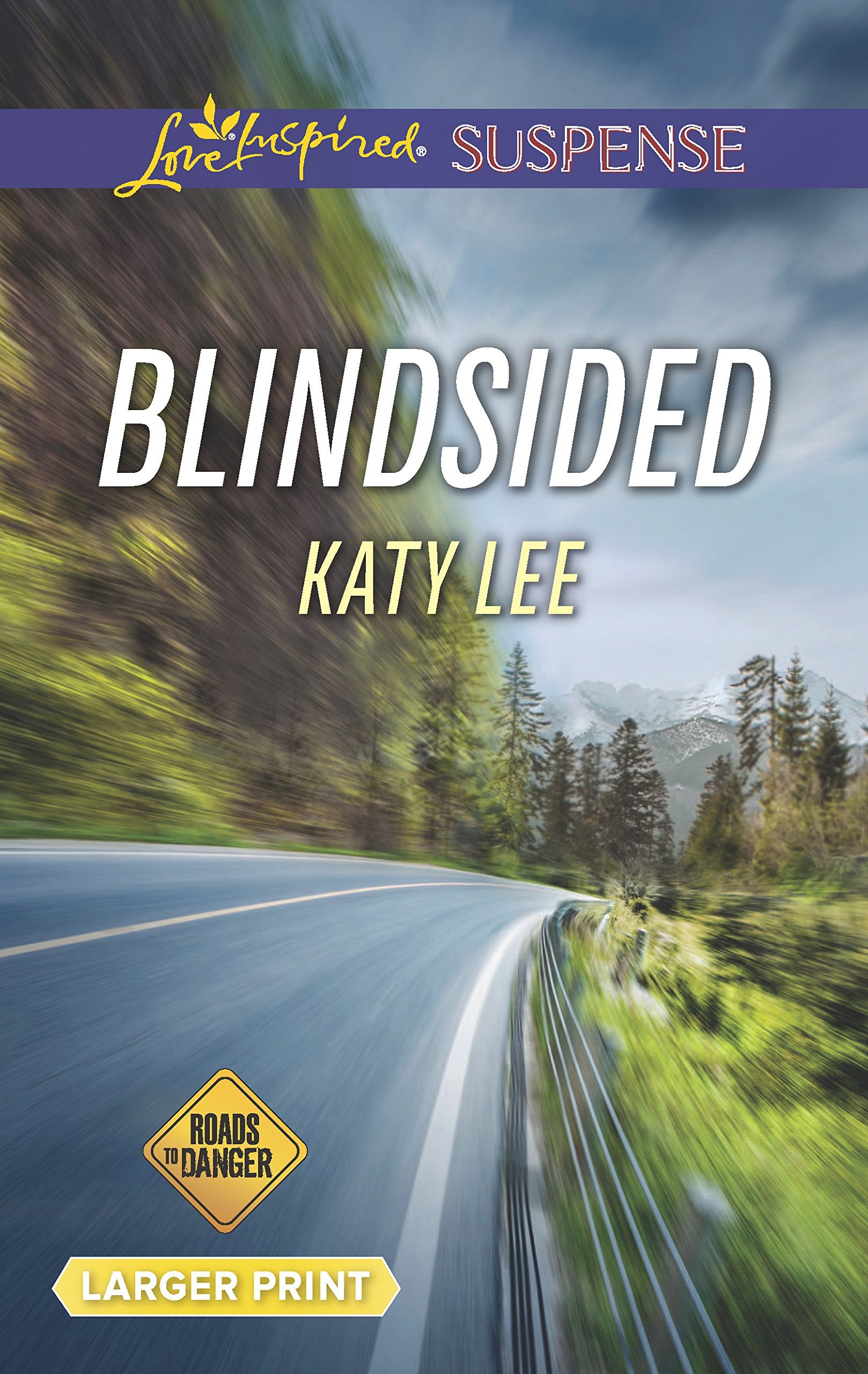 Blindsided (Roads to Danger, 2),Used