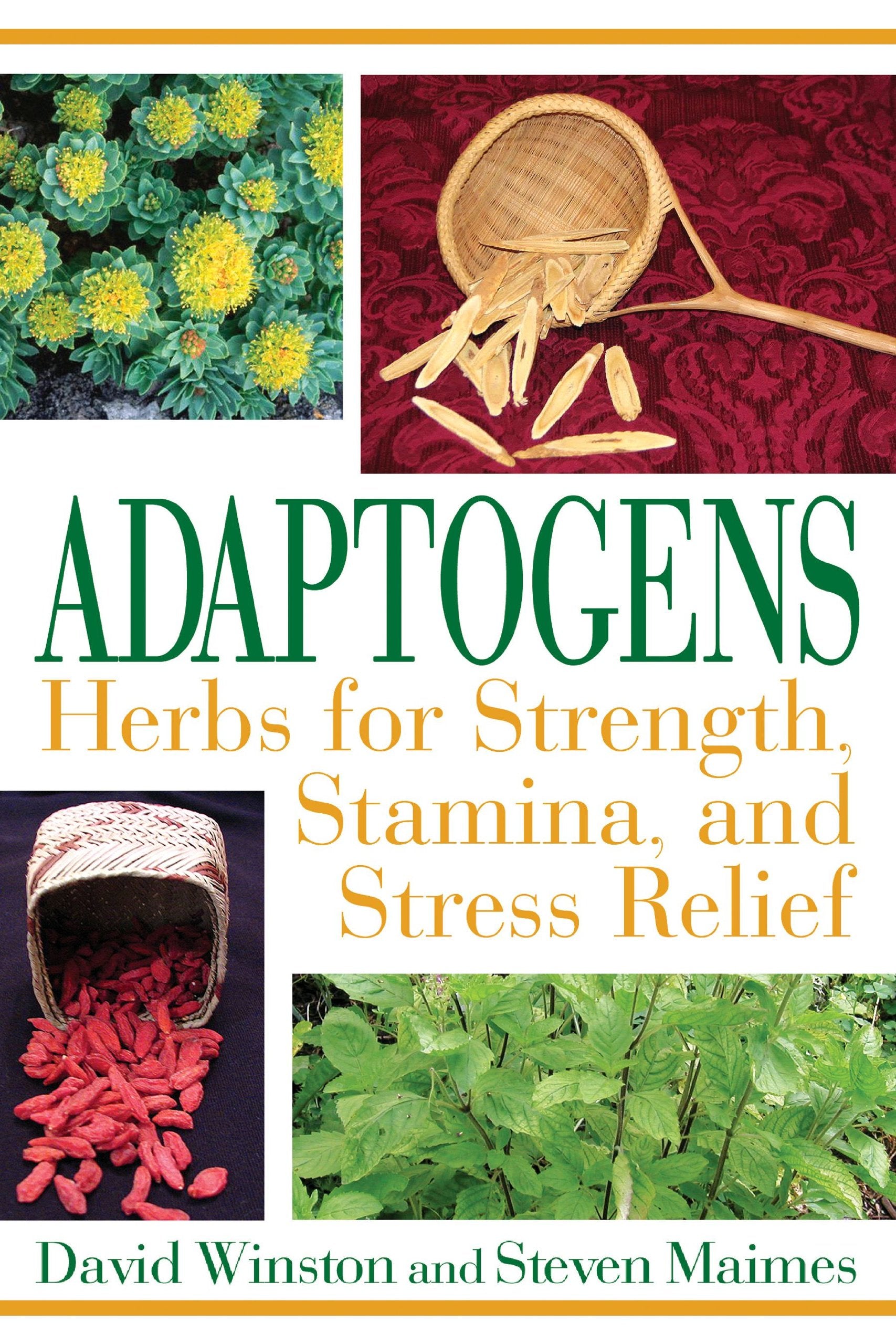 Adaptogens: Herbs For Strength, Stamina, And Stress Relief
