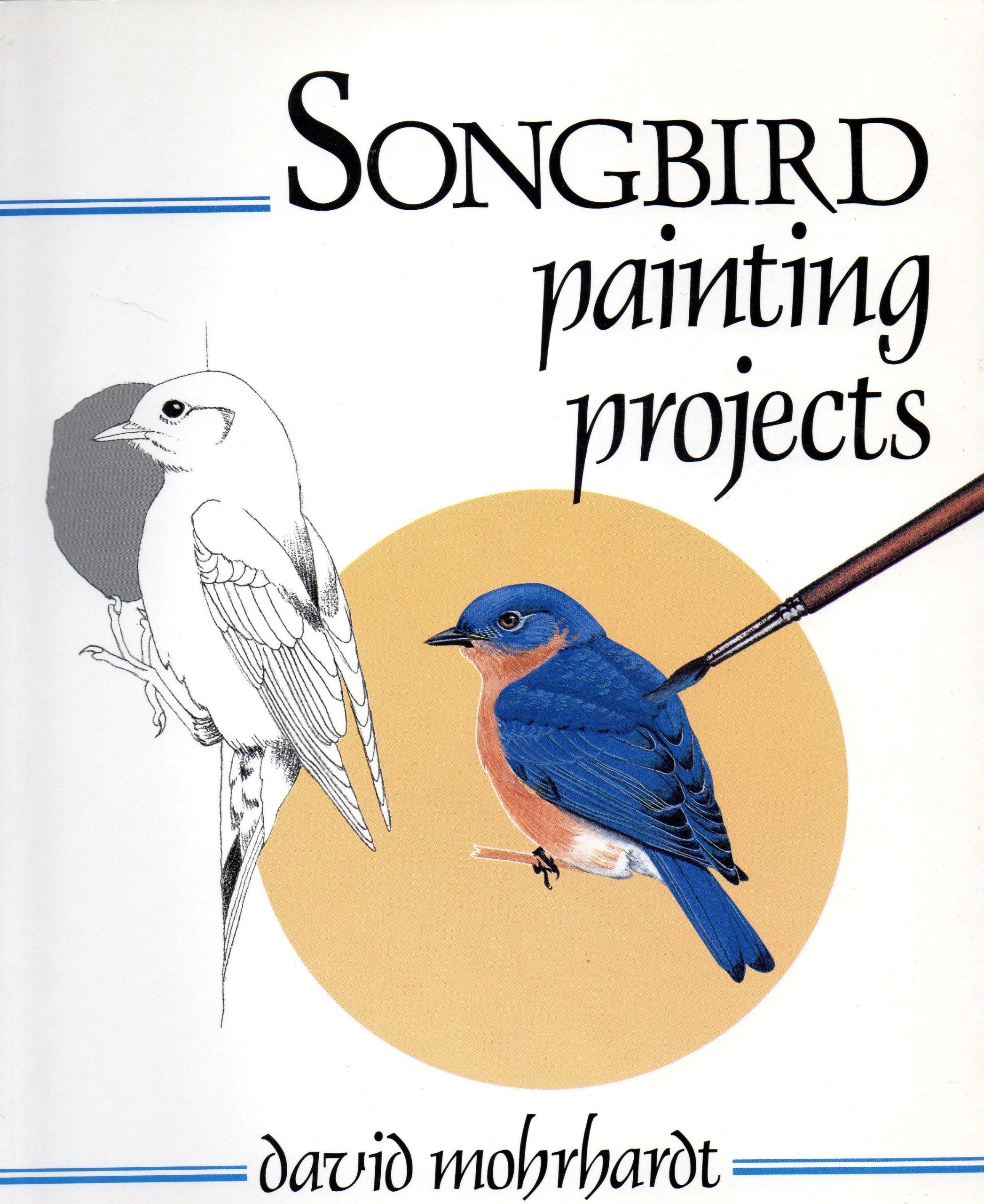 Songbird Painting Projects,Used