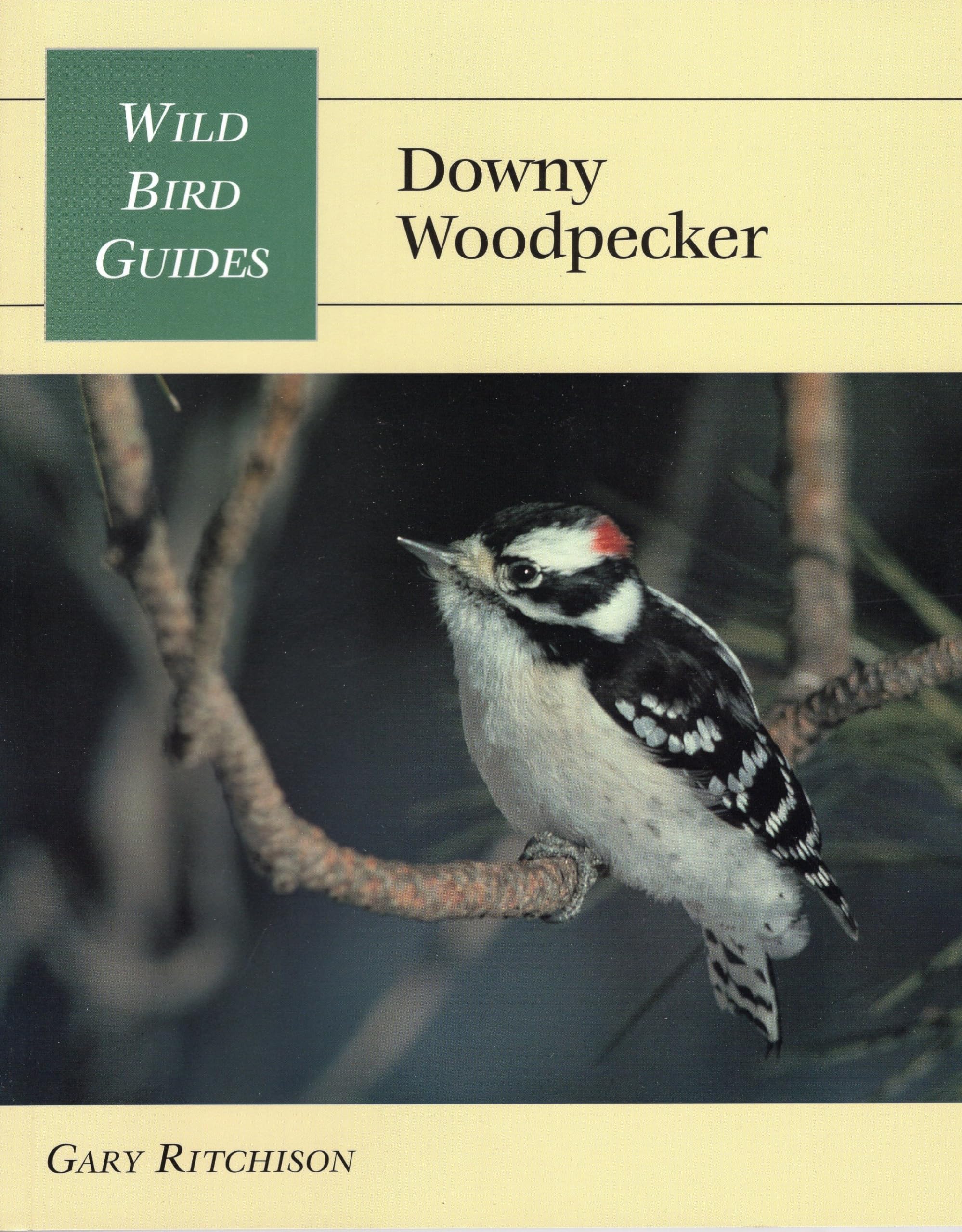 Wild Bird Guide: Downy Woodpecker (Wild Bird Guides),Used