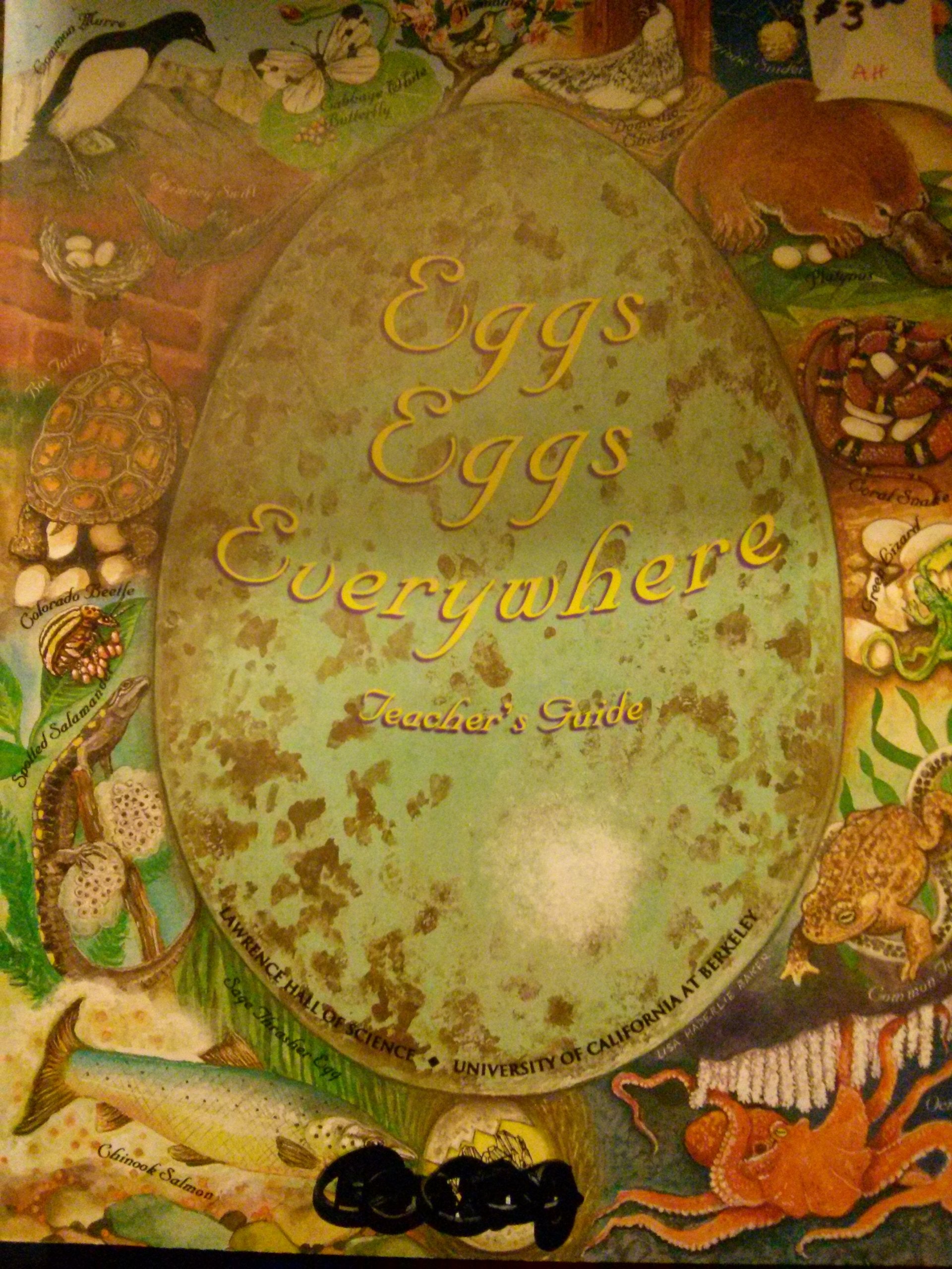 Eggs Eggs Everywhere: Teacher'S Guide,Used