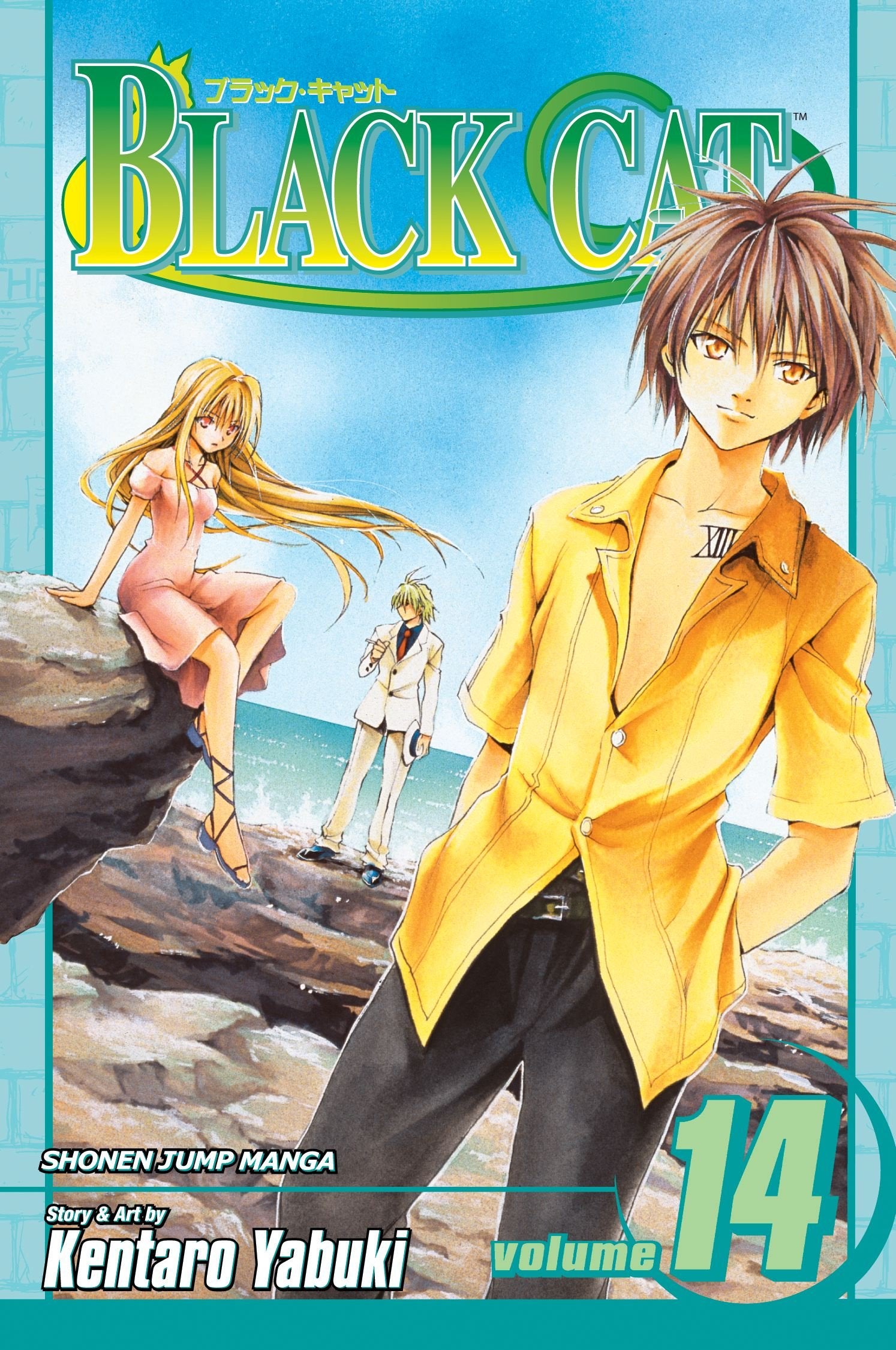 Black Cat, Vol. 14,Used