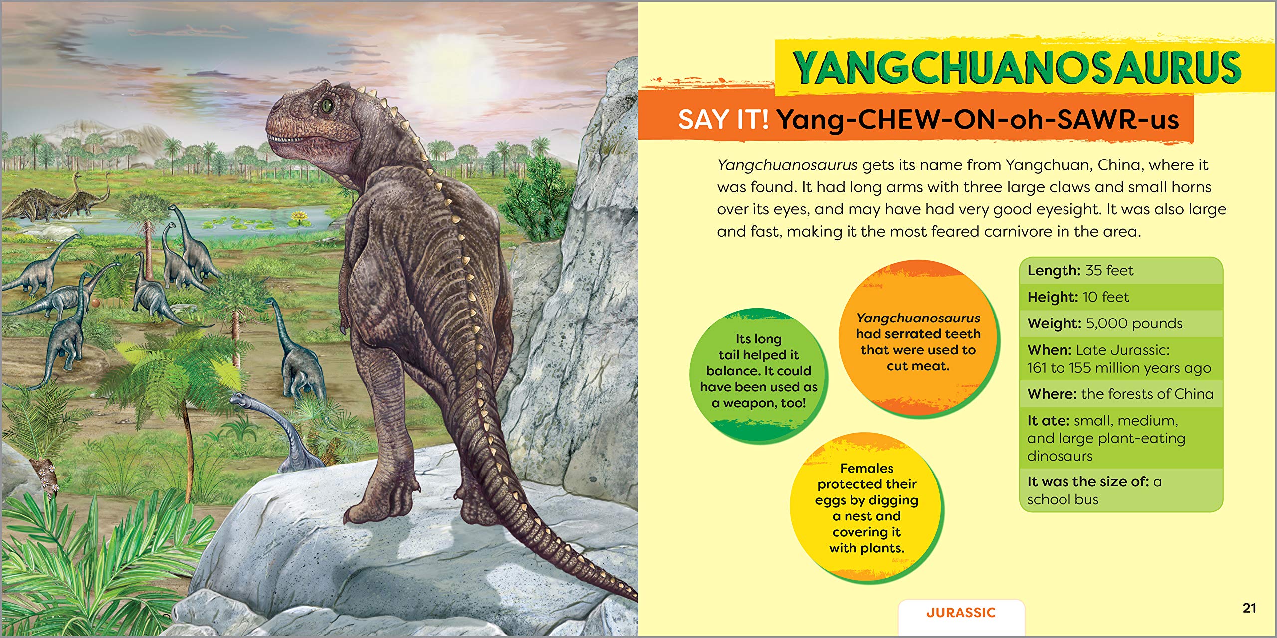 Dinosaurs! My First Book About Carnivores (Dinosaurs! + Beyond Dinosaurs!),Used
