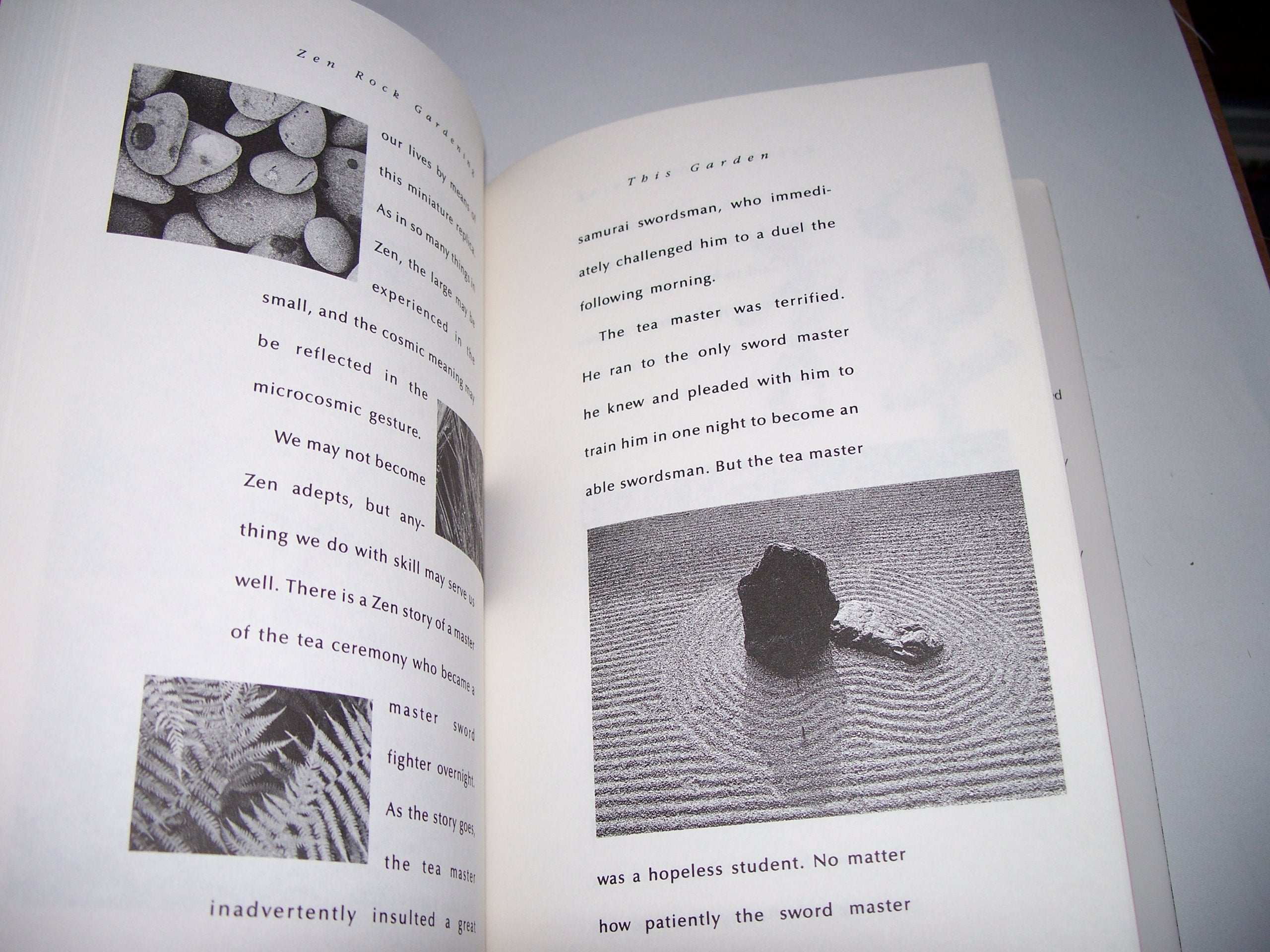 Zen Rock Gardening,Used