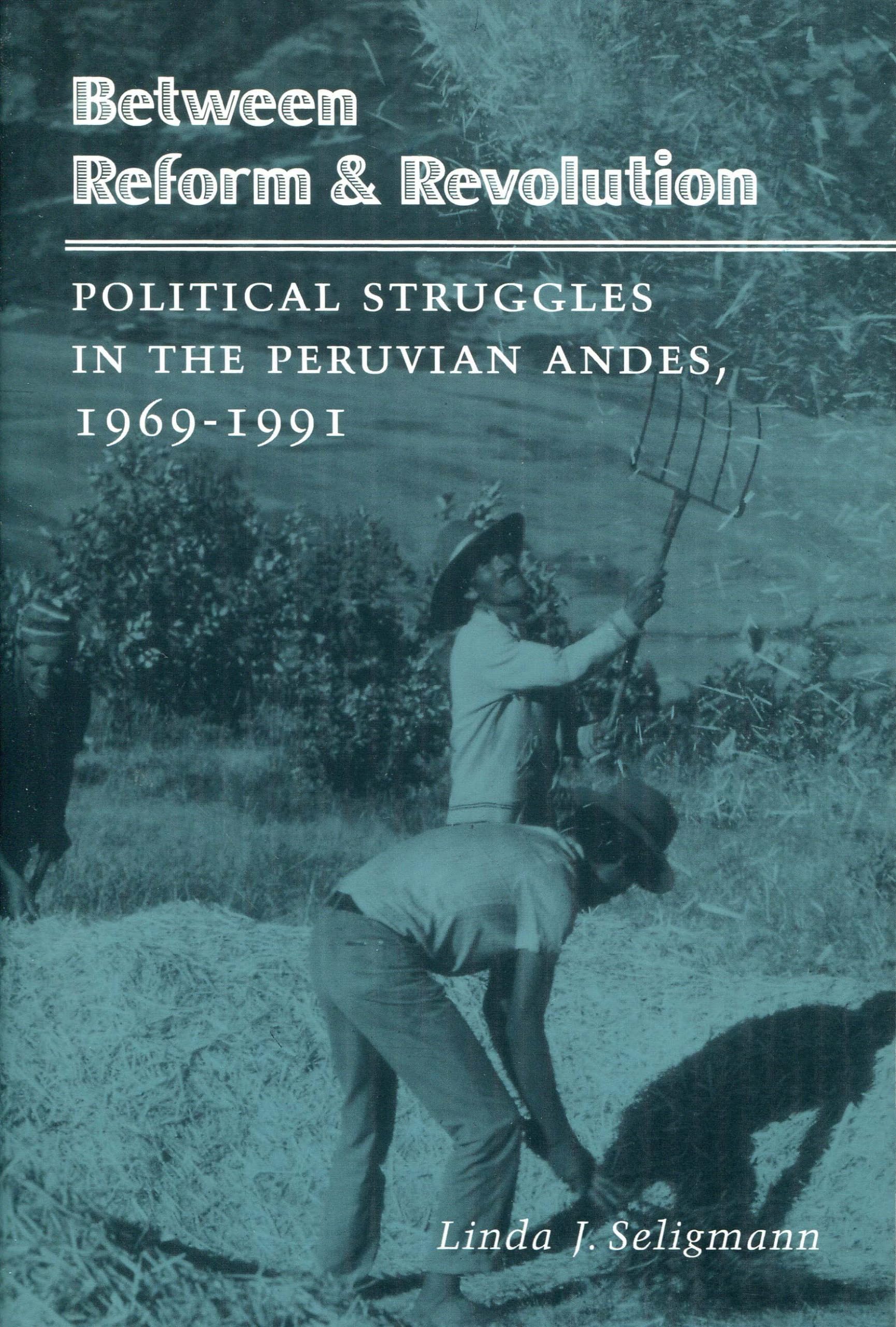 Between Reform And Revolution: Political Struggles In The Peruvian Andes, 19691991 (Program In Agrarian Studies, Yale Universit,Used