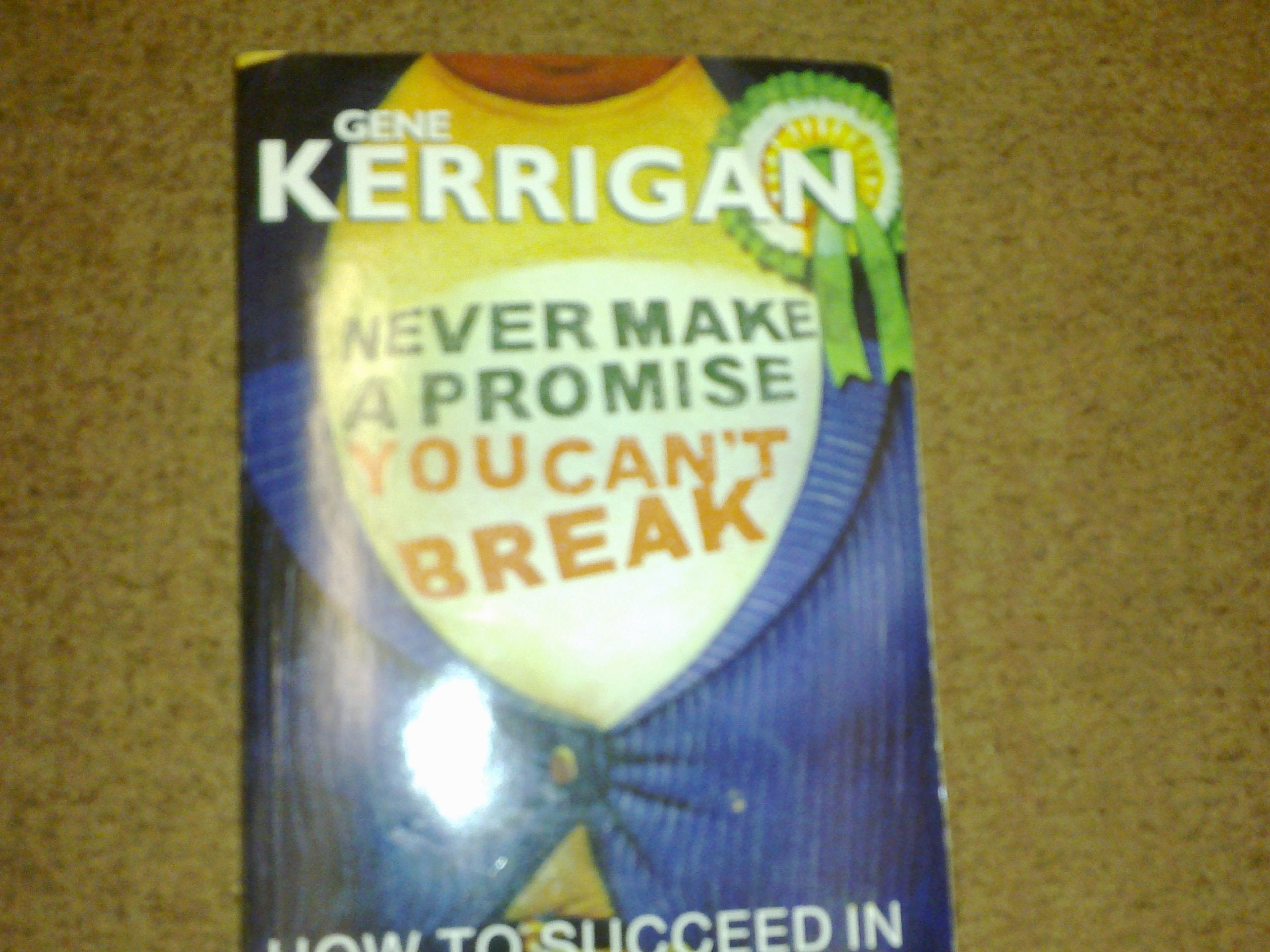 Never Make a Promise You Can't Break: How to Succeed in Irish Politics,Used