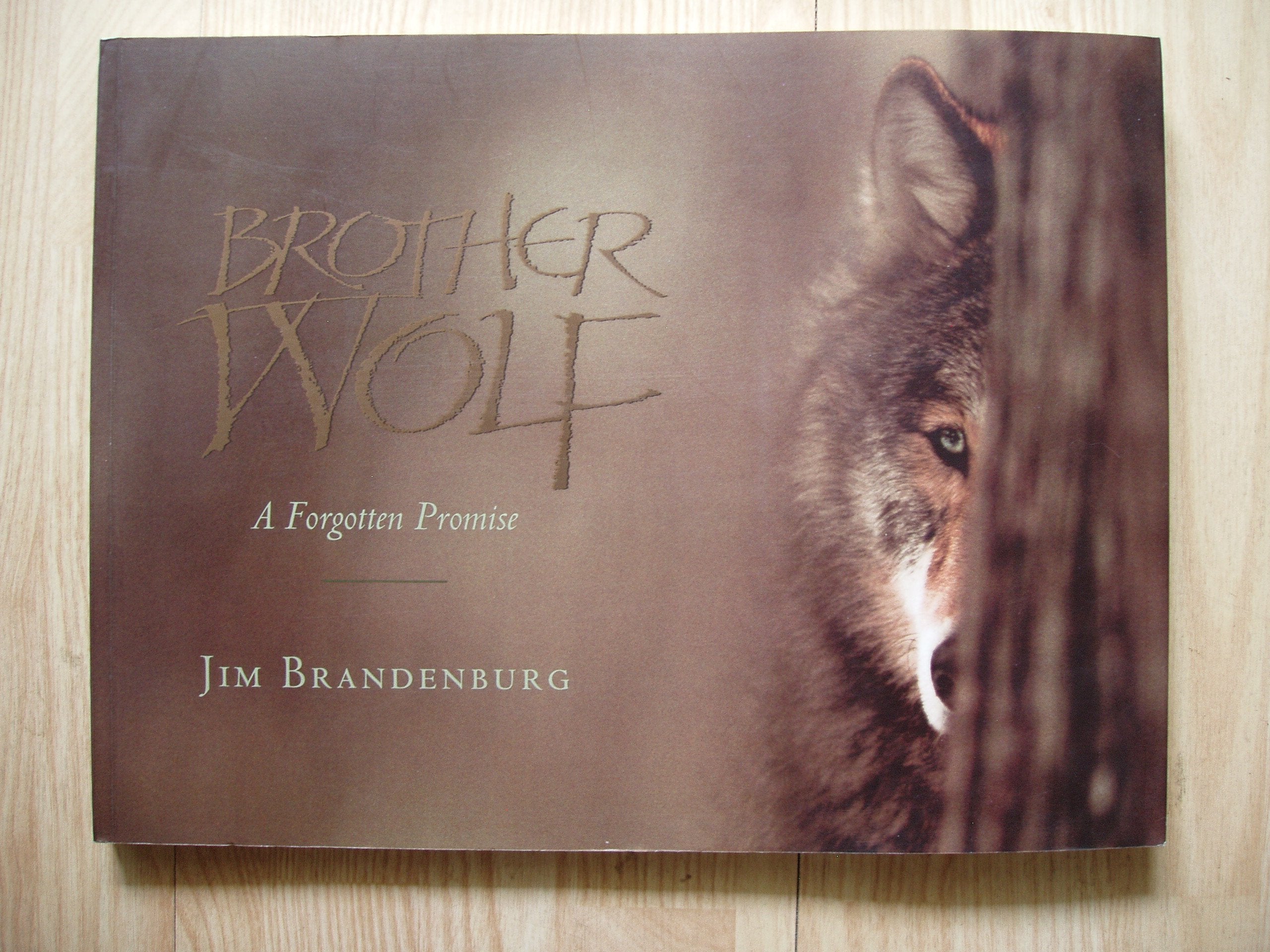 Brother Wolf,Used
