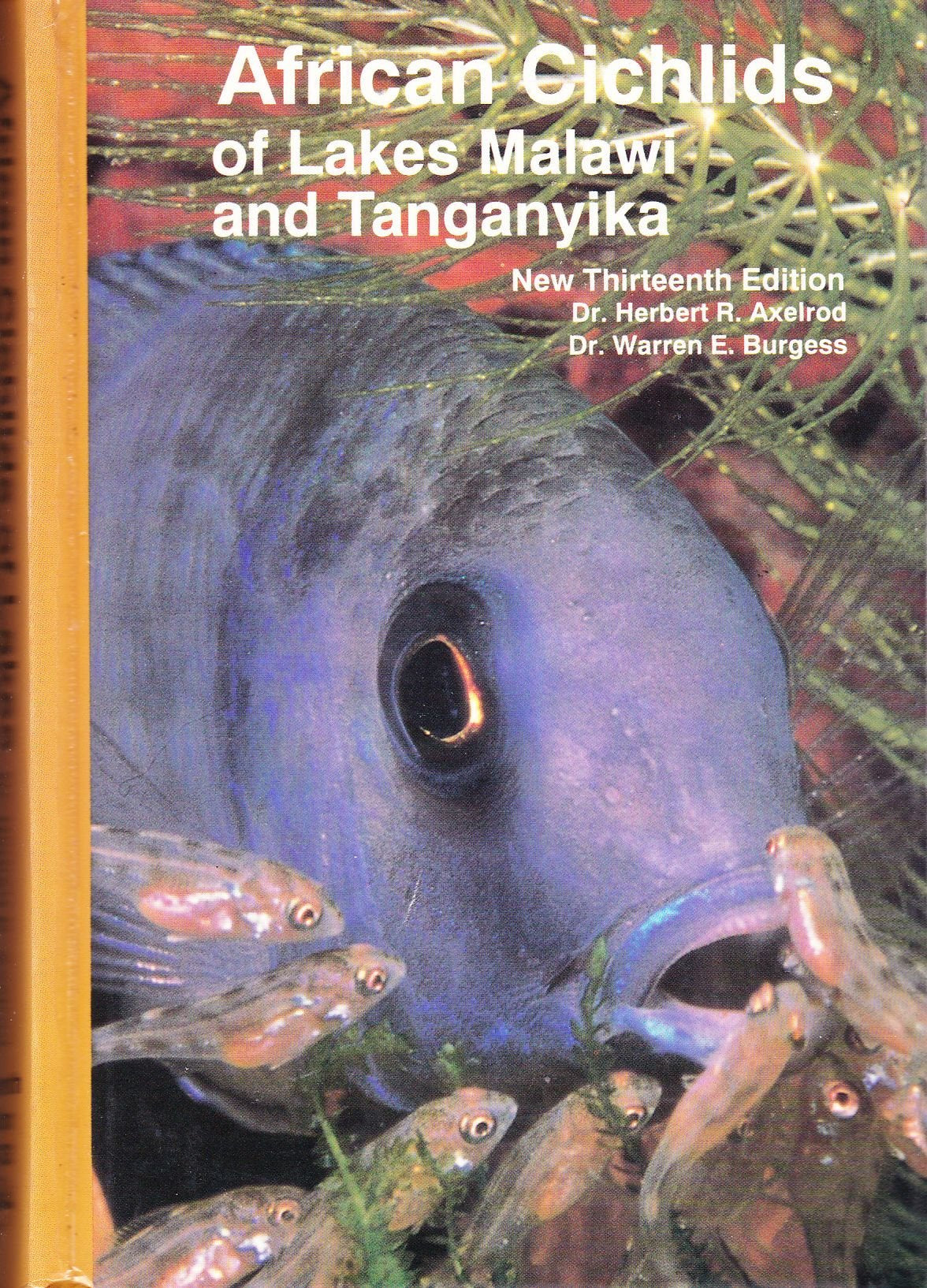 African Cichlids Of Lakes, Malawi, And Tanganyika-used