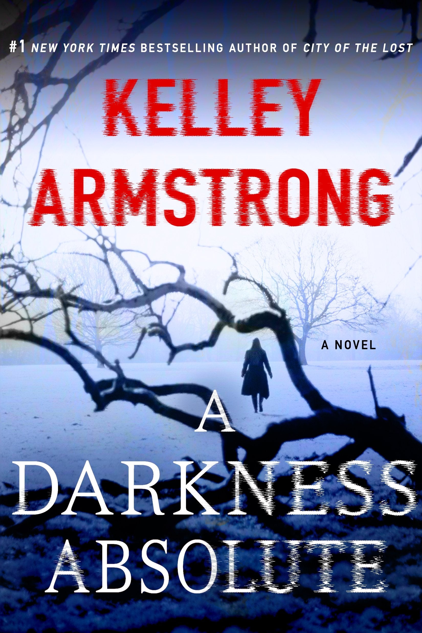 A Darkness Absolute: A Rockton Novel (Casey Duncan Novels, 2),Used