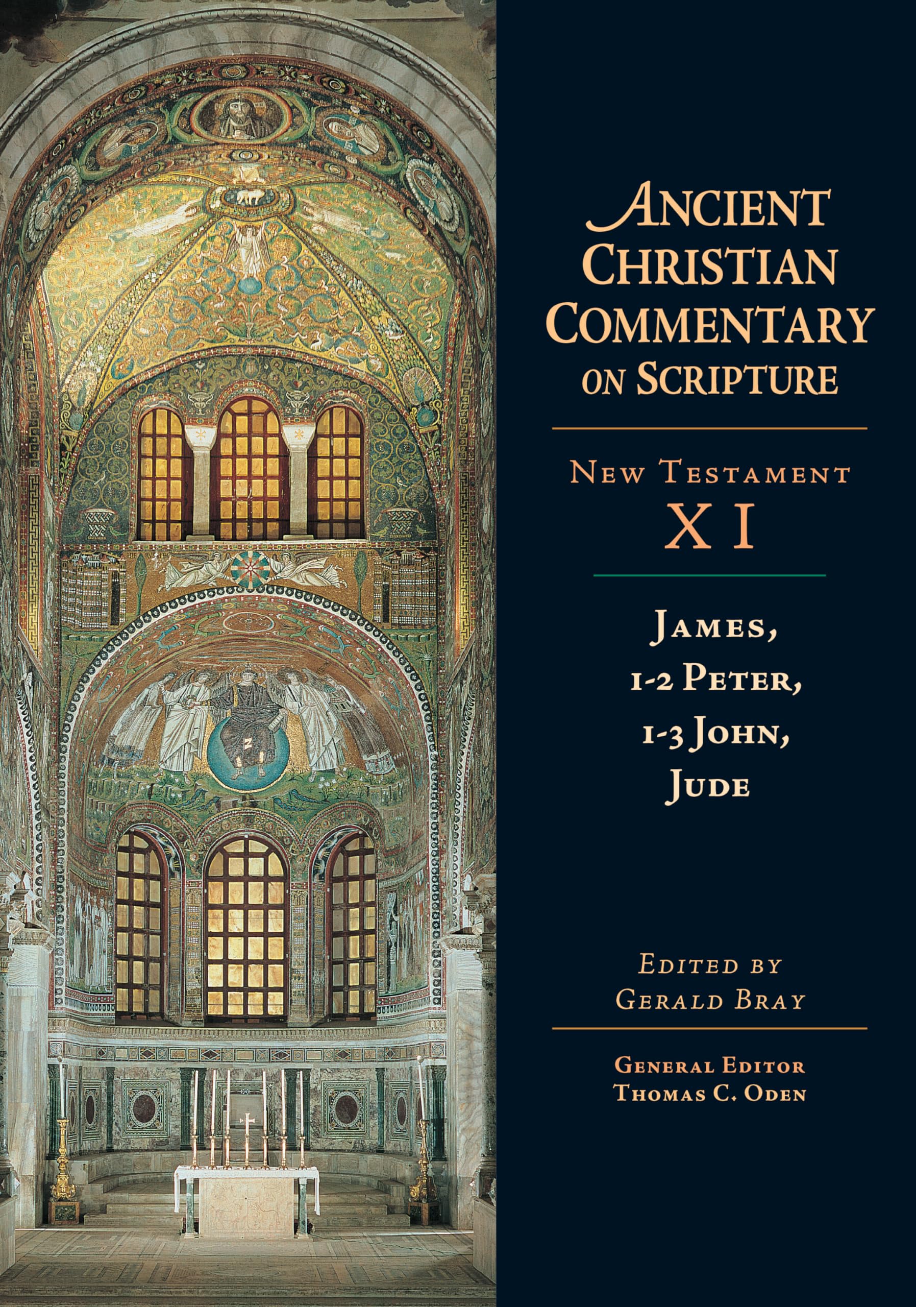 James, 12 Peter, 13 John, Jude (Ancient Christian Commentary on Scripture: New Testament, Volume XI) (Ancient Christian Commen,Used