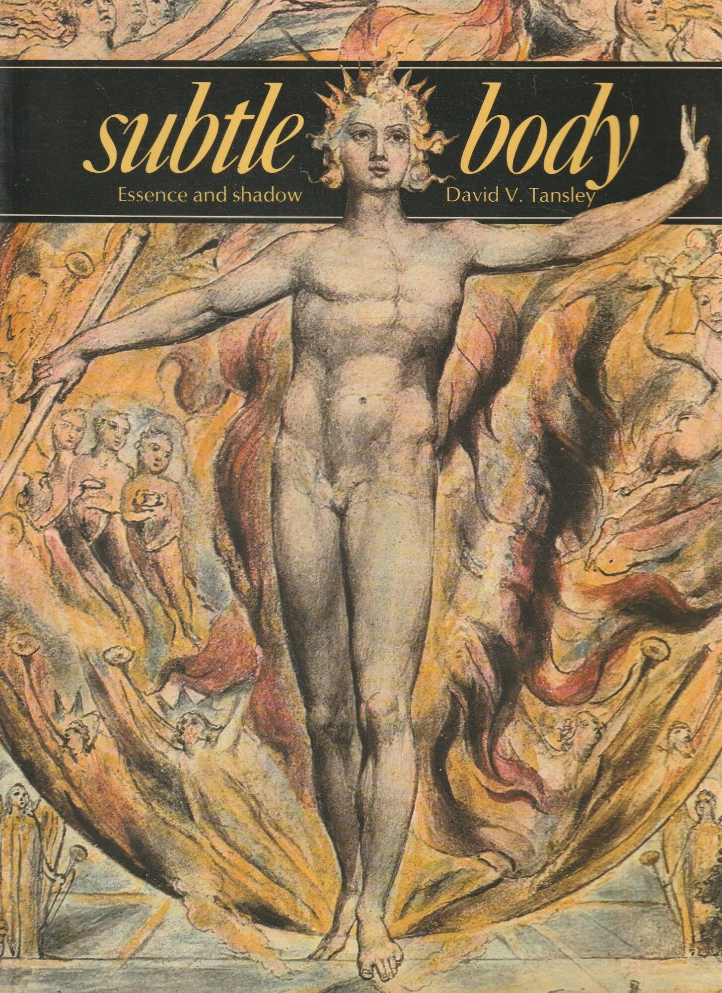 Subtle Body: Essence and Shadow (Art and Imagination),Used