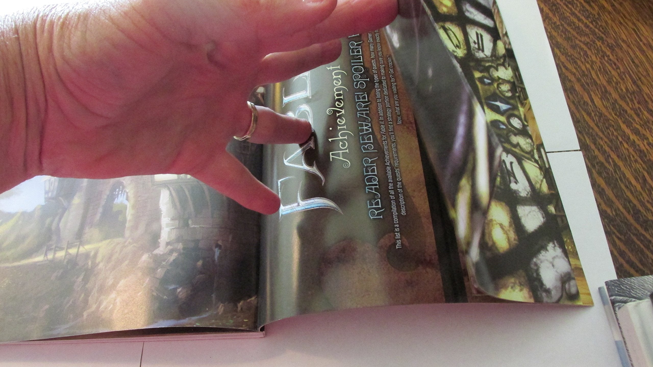 Fable II Signature Series Guide,Used